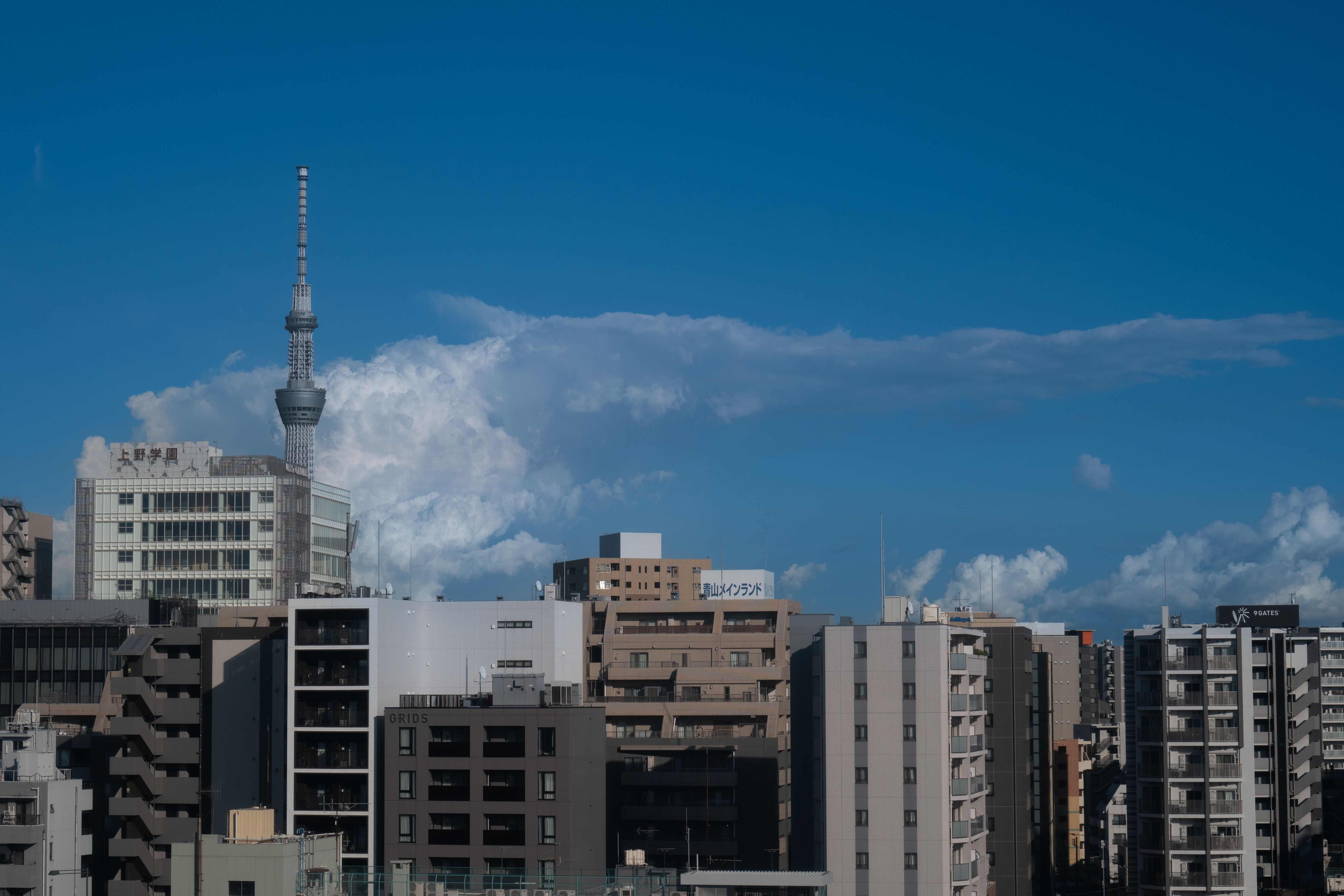 75mm相当で撮影。ここまでクロップしても約2,000万画素も残るのはさすが。ガラス窓越しの遠景撮影だが揺るぎない解像を得られた<br><span class="fnt-85">ライカQ3 43／ライカ アポ・ズミクロン f2/43mm ASPH.／絞り優先AE（F5.6・1/500秒・－0.6EV）／ISO 100</span>