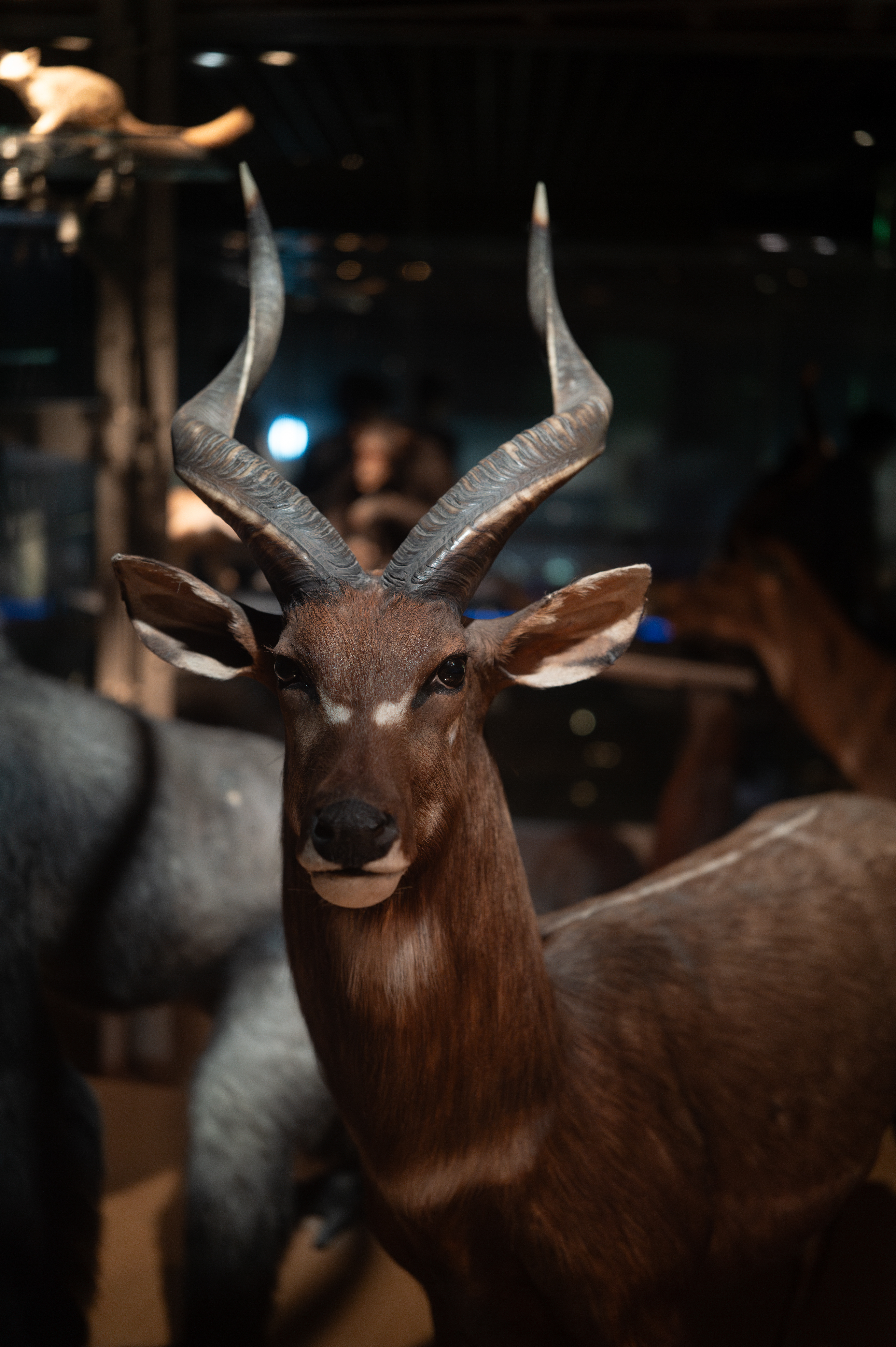 高解像度なレンズではあるものの、質感の再現性も高いので決して無味乾燥なカリカリ描写にはならない<br><span class="fnt-85">ライカQ3 43／ライカ アポ・ズミクロン f2/43mm ASPH.／絞り優先AE（F2・1/80秒・－1.0EV）／ISO 2500</span>