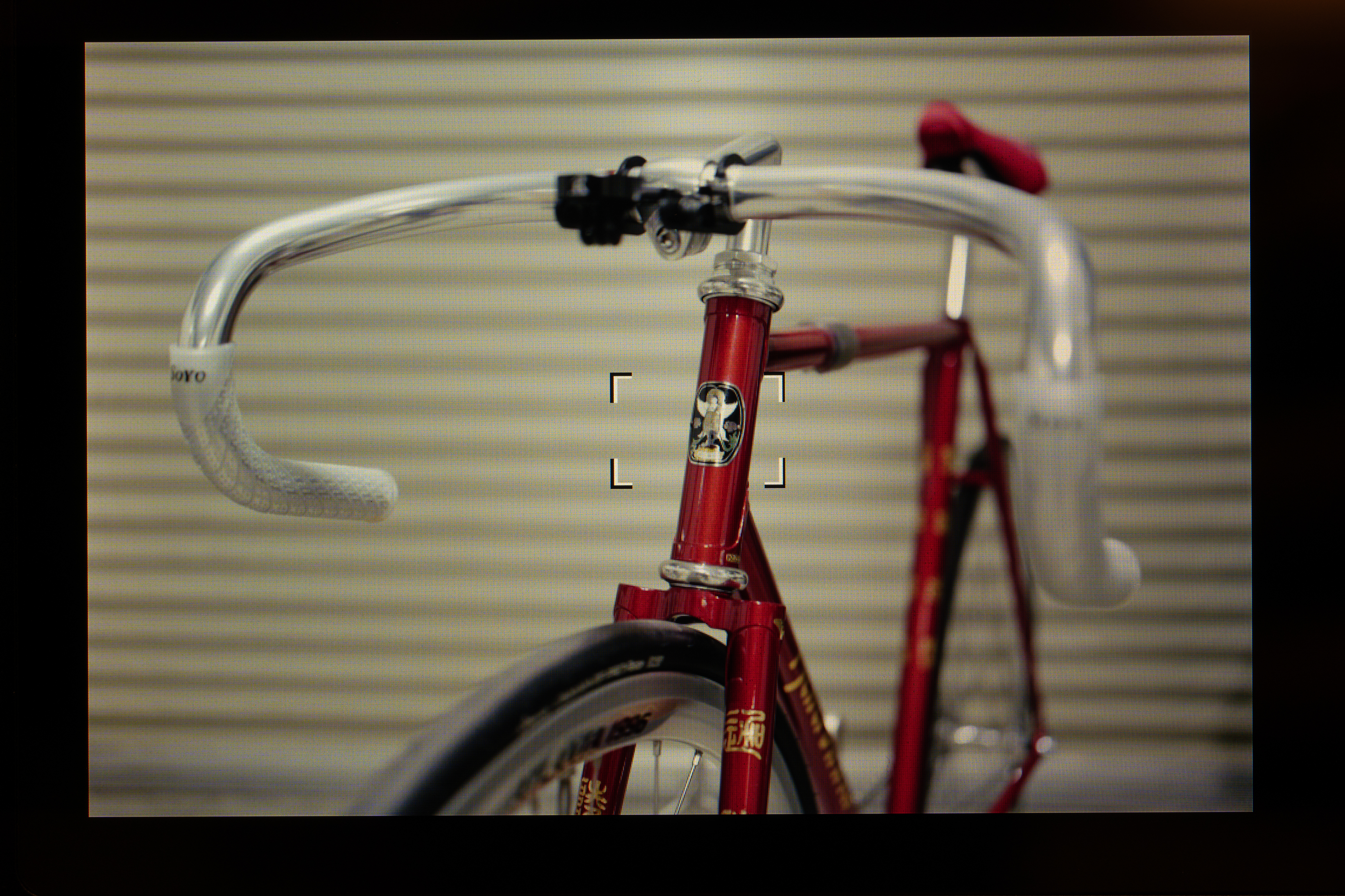 43mm（ライブビュー像。以下同）