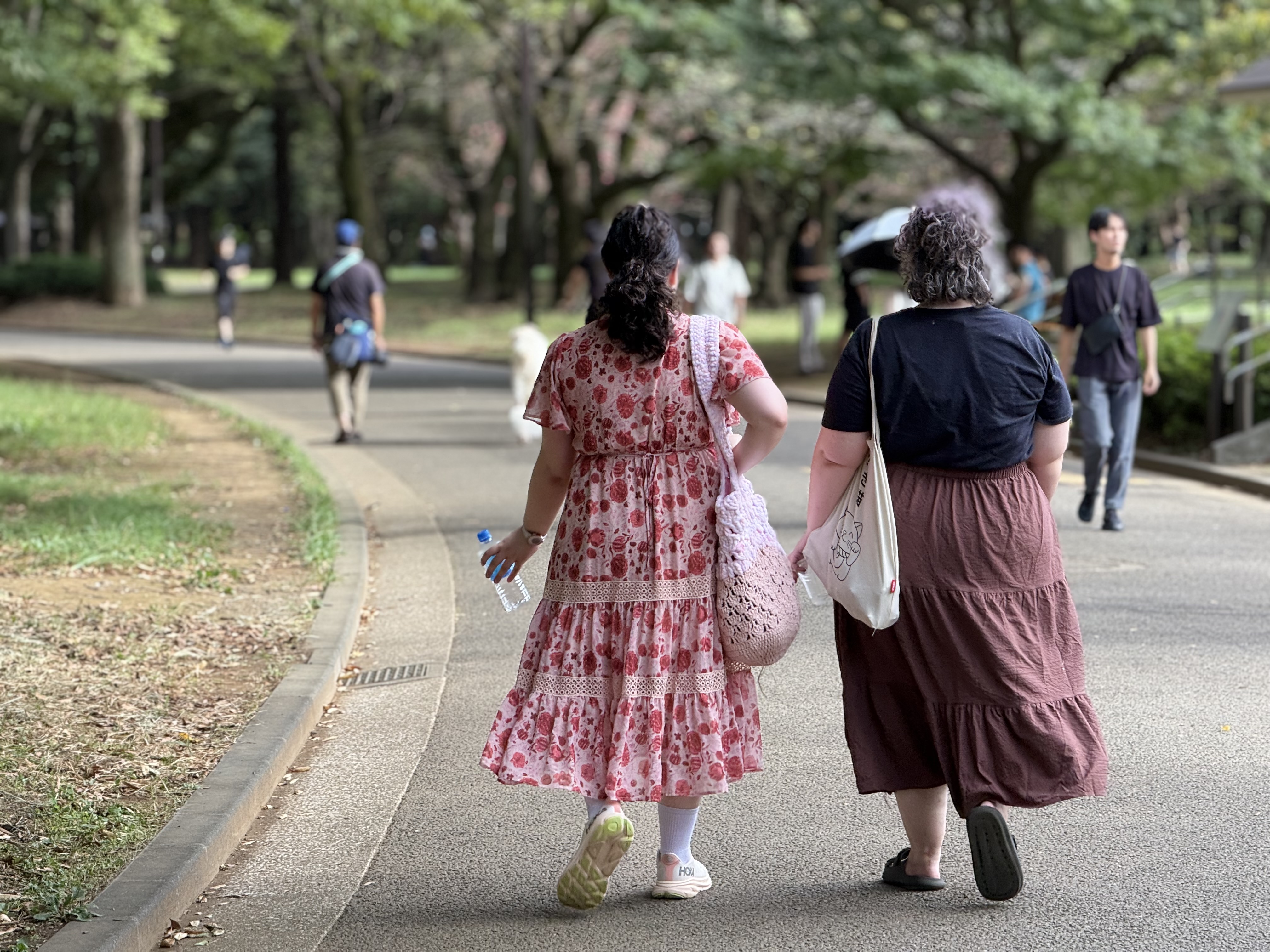 iPhone 16 Pro／15.66mm／120mm相当／1/100秒／F2.8／ISO 50