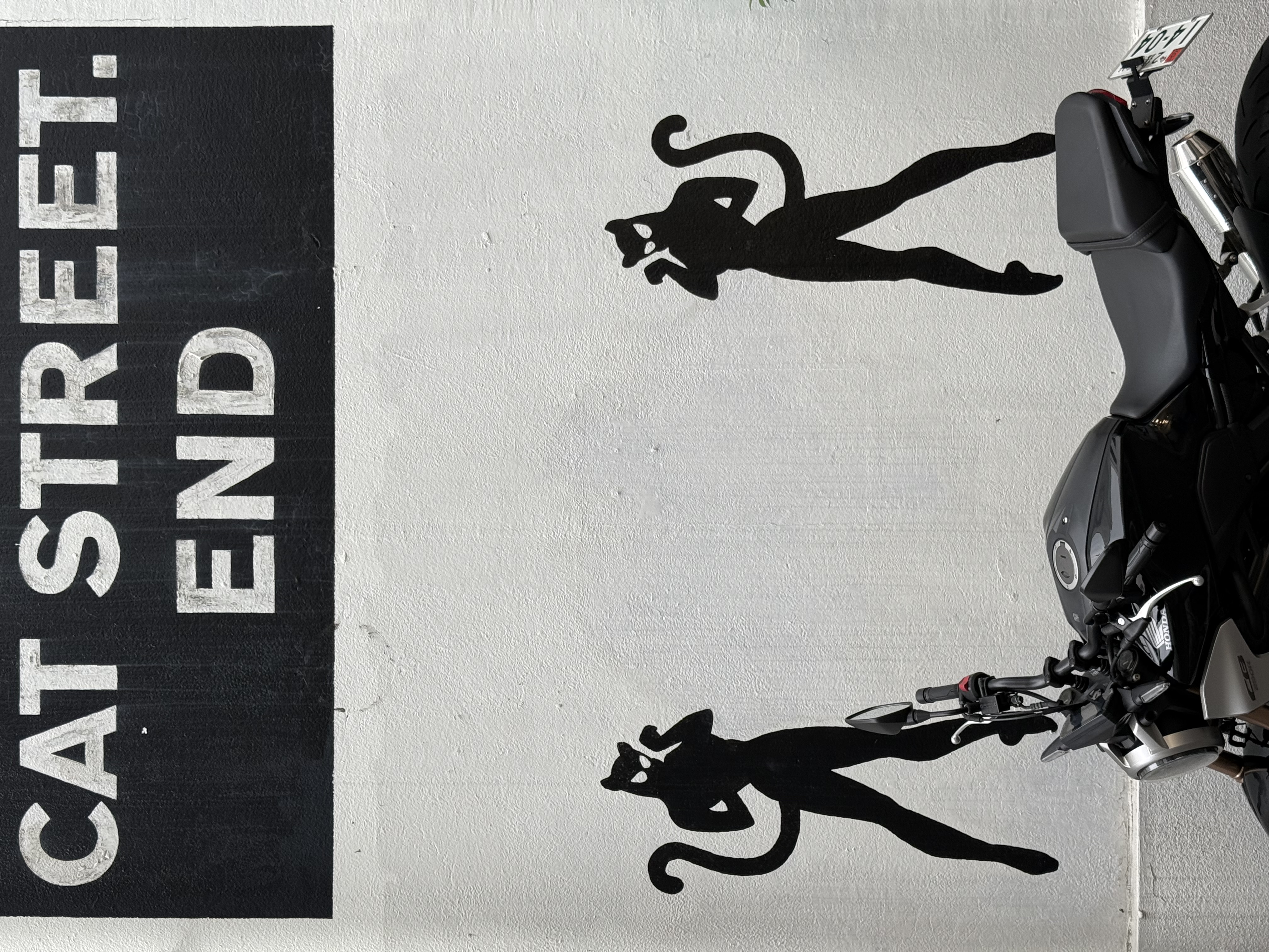 iPhone 16 Pro／6.76mm／48mm相当／1/100秒／F1.8／ISO 80