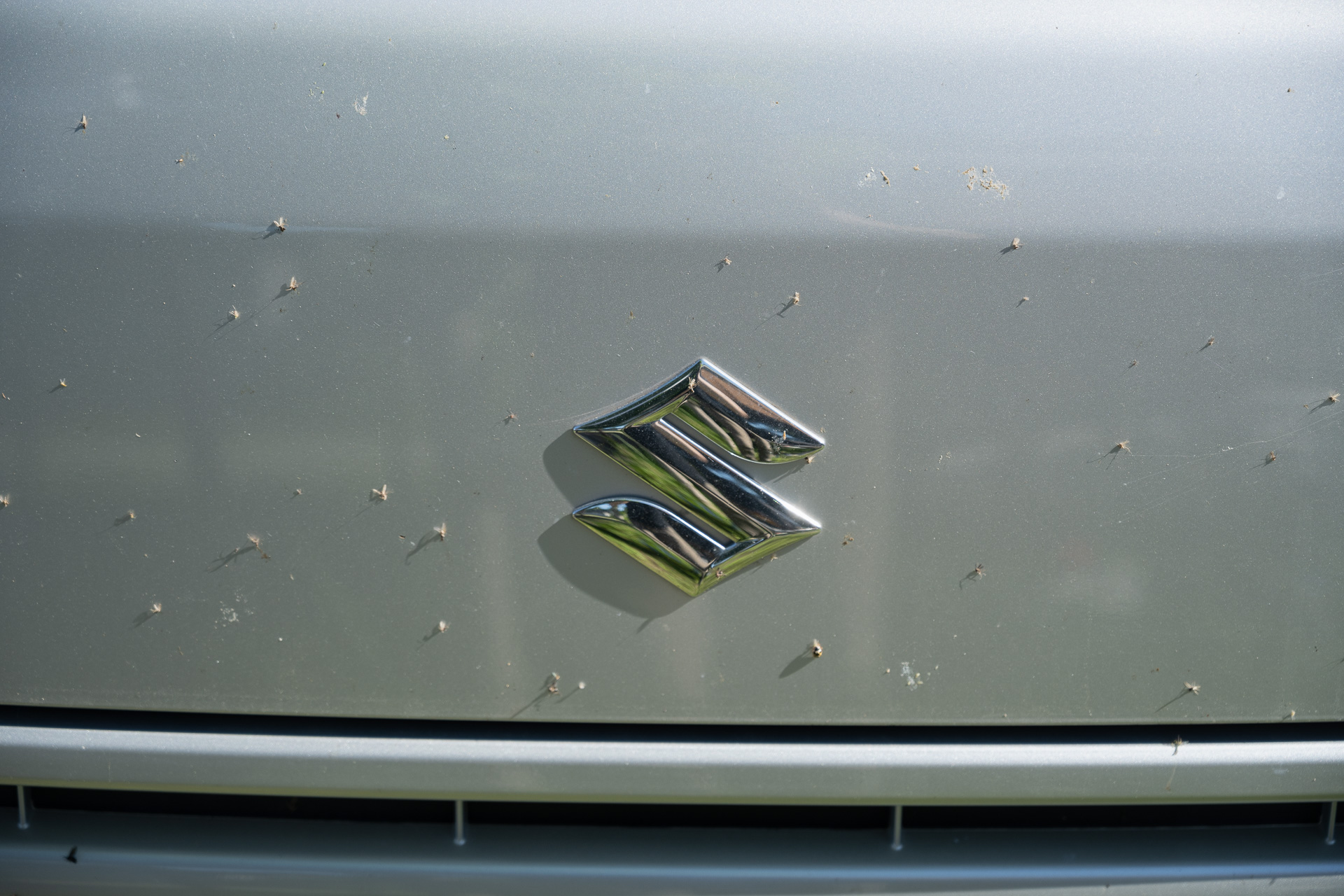 ボンネットの虫。こびりつきが激しいし、強い水圧で塗装痛めないかなぁとも思うので、一度濡らしてしばらく置いてから、高圧洗浄するとこの通り