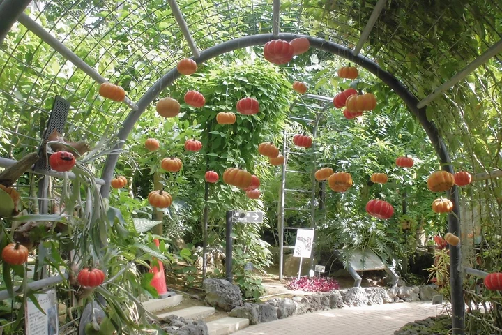 とちぎ花センター