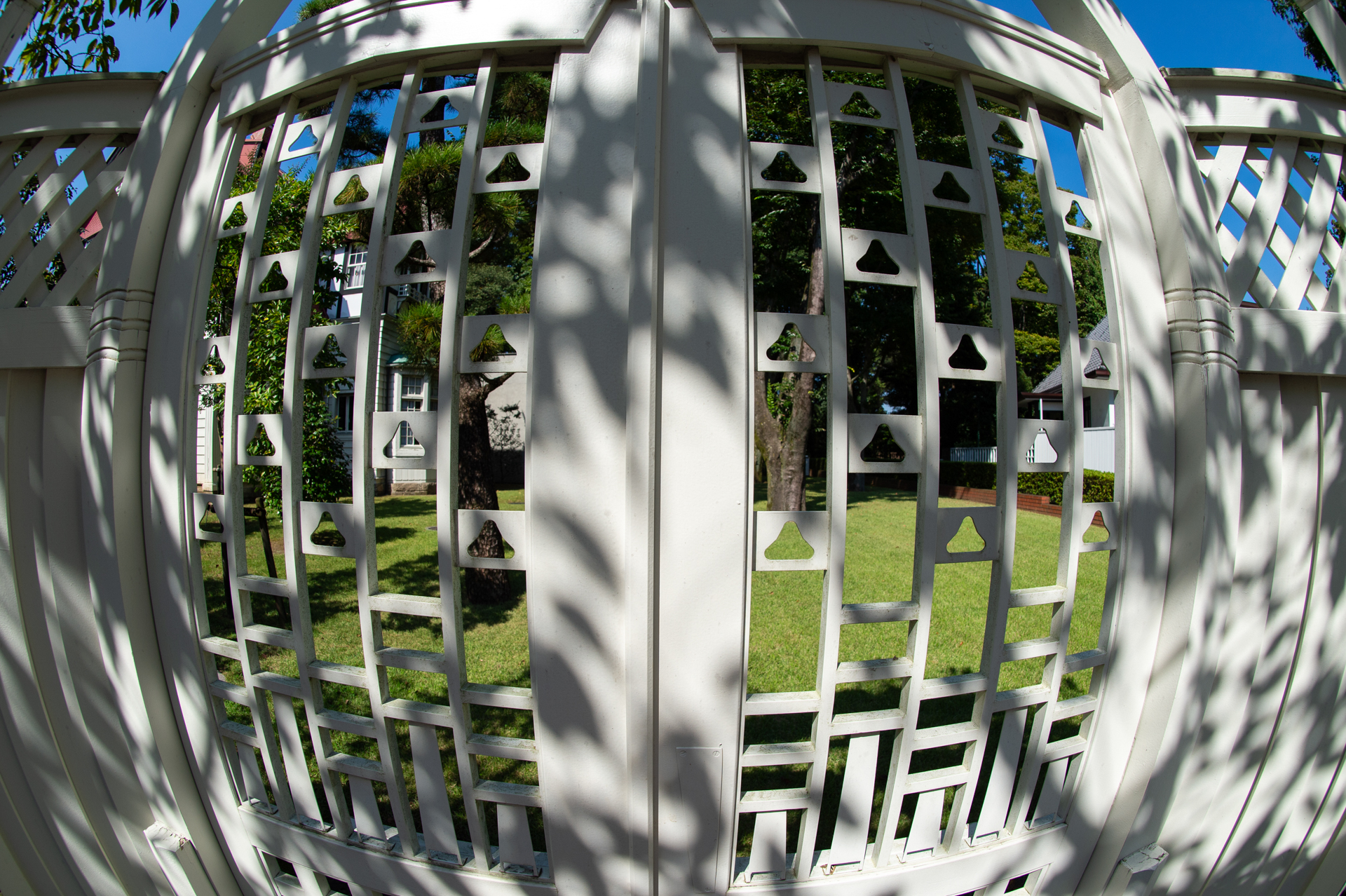 門に落ちた木漏れ陽の影が面白かったので撮影してみましたが、思ったより綺麗な描写です。シャドーの再現がいいからでしょうか。<br><span class="fnt-85">ニコン Df／AI AF Fisheye-Nikkor 16mm f/2.8D／16mm／絞り優先AE（1/1,000秒、F8.0、−0.7EV）／ISO 200</span>