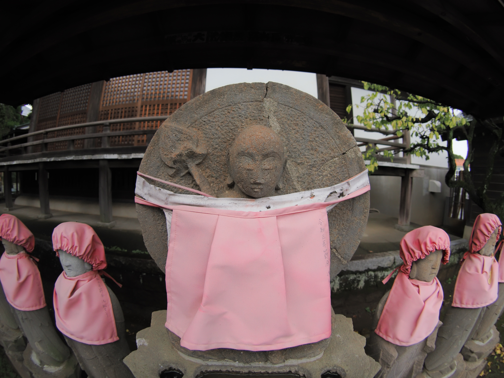 このレンズは少し絞りによる性能変化がありますね。許せない人にはお勧めできないレンズです。一段絞ったあたりで線が細い描写になります。<br><span class="fnt-85">OM SYSTEM OM-1／ZUIKO DIGITAL ED 8mm F3.5 Fisheye／8mm（16mm相当）／絞り優先AE（1/1,000秒、F3.5、−0.3EV）／ISO 400</span>