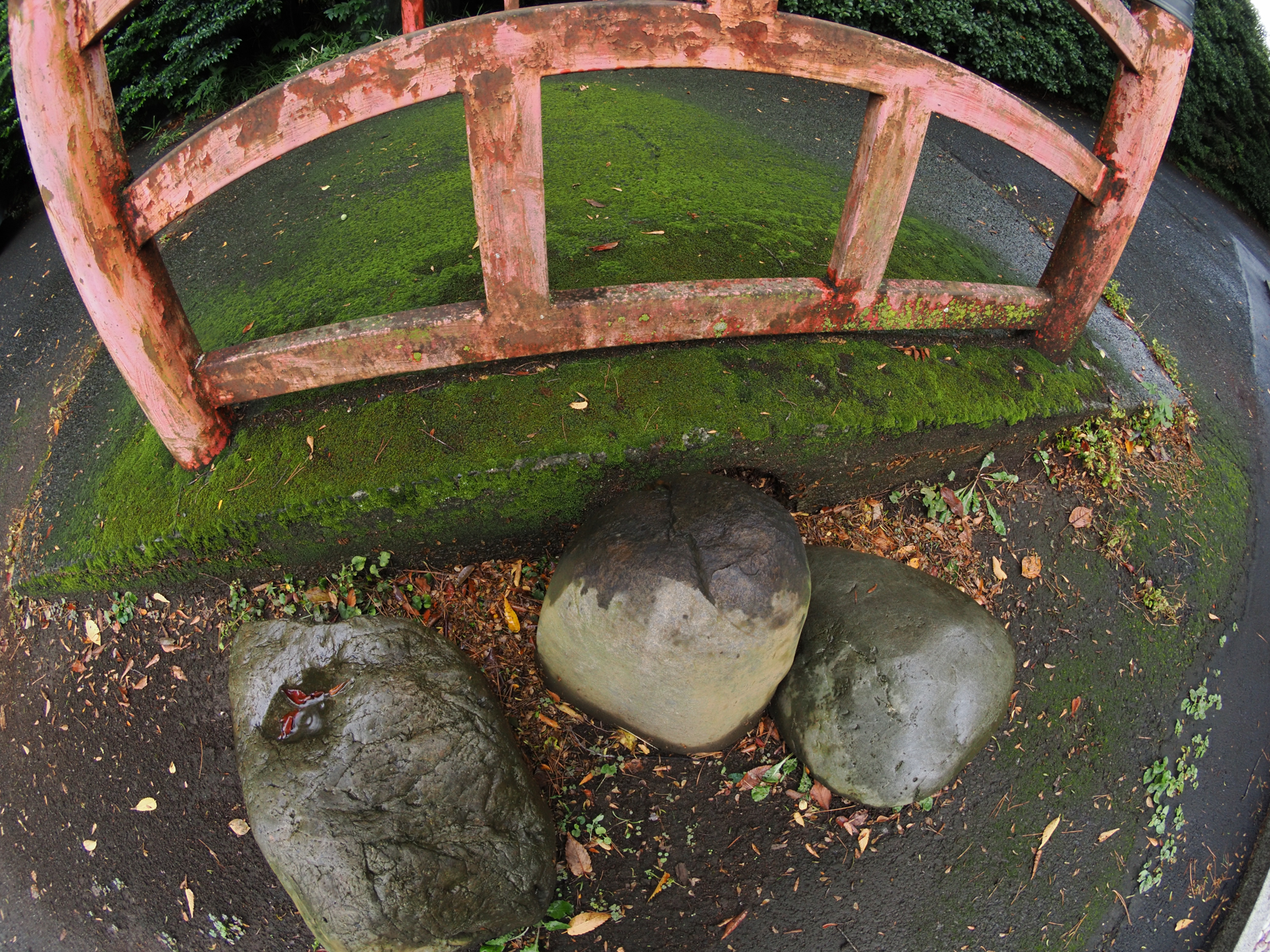 よくわからない庭石の配置です。わからないから撮影するということがよくあるわけですが、これは結構重要じゃないかと。<br><span class="fnt-85">OM SYSTEM OM-1／ZUIKO DIGITAL ED 8mm F3.5 Fisheye／8mm（16mm相当）／絞り優先AE（1/80秒、F8.0、−1.3EV）／ISO 400</span>