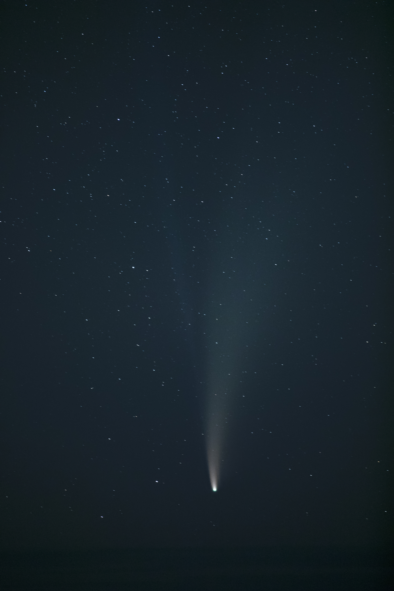 ネオワイズ彗星（撮影：館野二朗）