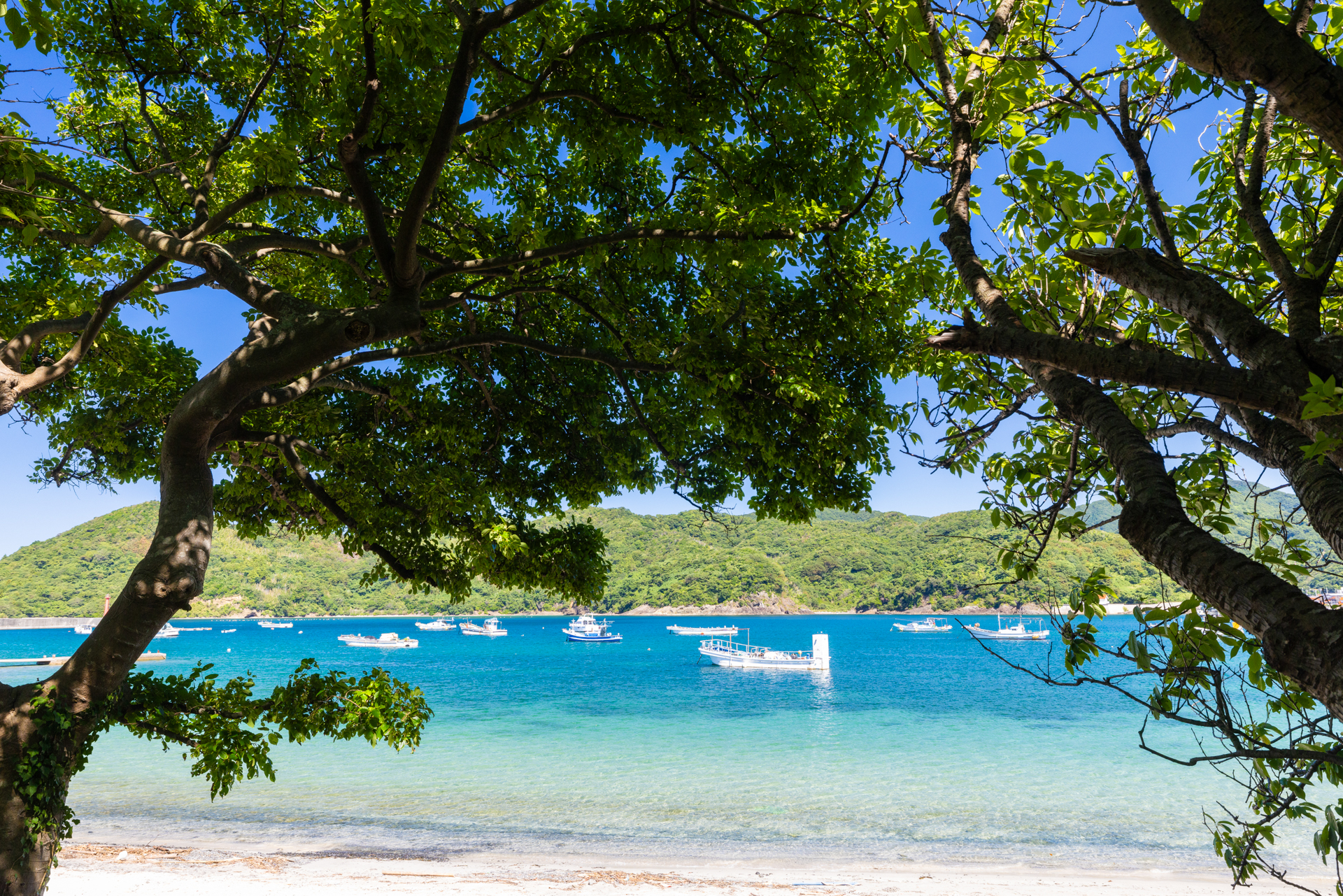 キヤノン EOS R5 Mark II／RF15-35mm F2.8 L IS USM／24mm／マニュアル露出（1/125秒、F9.0）／ISO 400