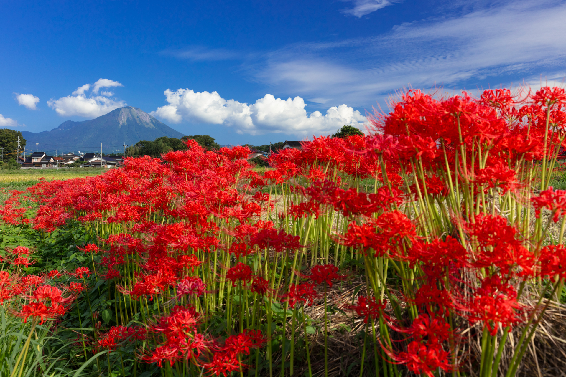 キヤノン EOS R5 Mark II／RF15-35mm F2.8 L IS USM／35mm／マニュアル露出（1/100秒、F9.0）／ISO 200