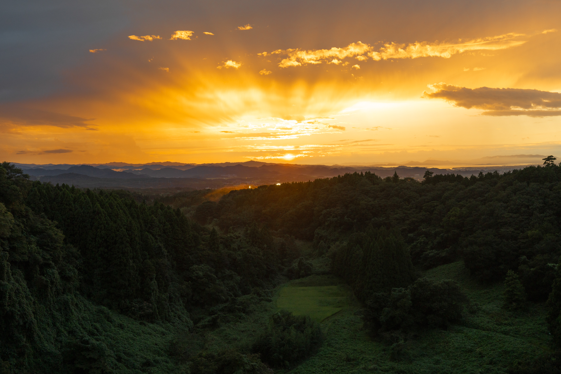 キヤノン EOS R5 Mark II／RF15-35mm F2.8 L IS USM／35mm／マニュアル露出（1/80秒、F5.6）／ISO 400