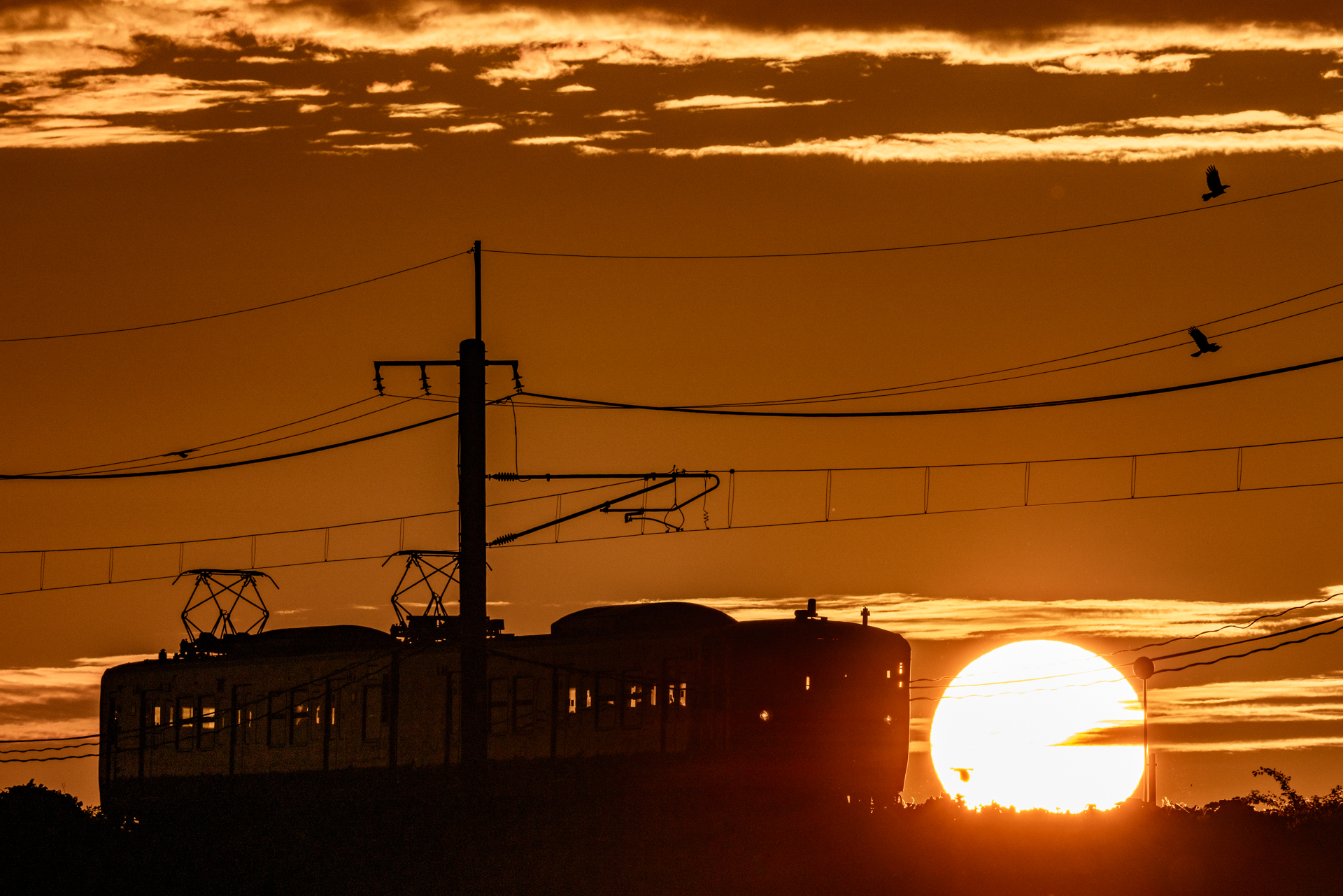 キヤノン EOS R5 Mark II／RF100-500mm F4.5-7.1 L IS USM／500mm／マニュアル露出（1/4,000秒、F18）／ISO 200