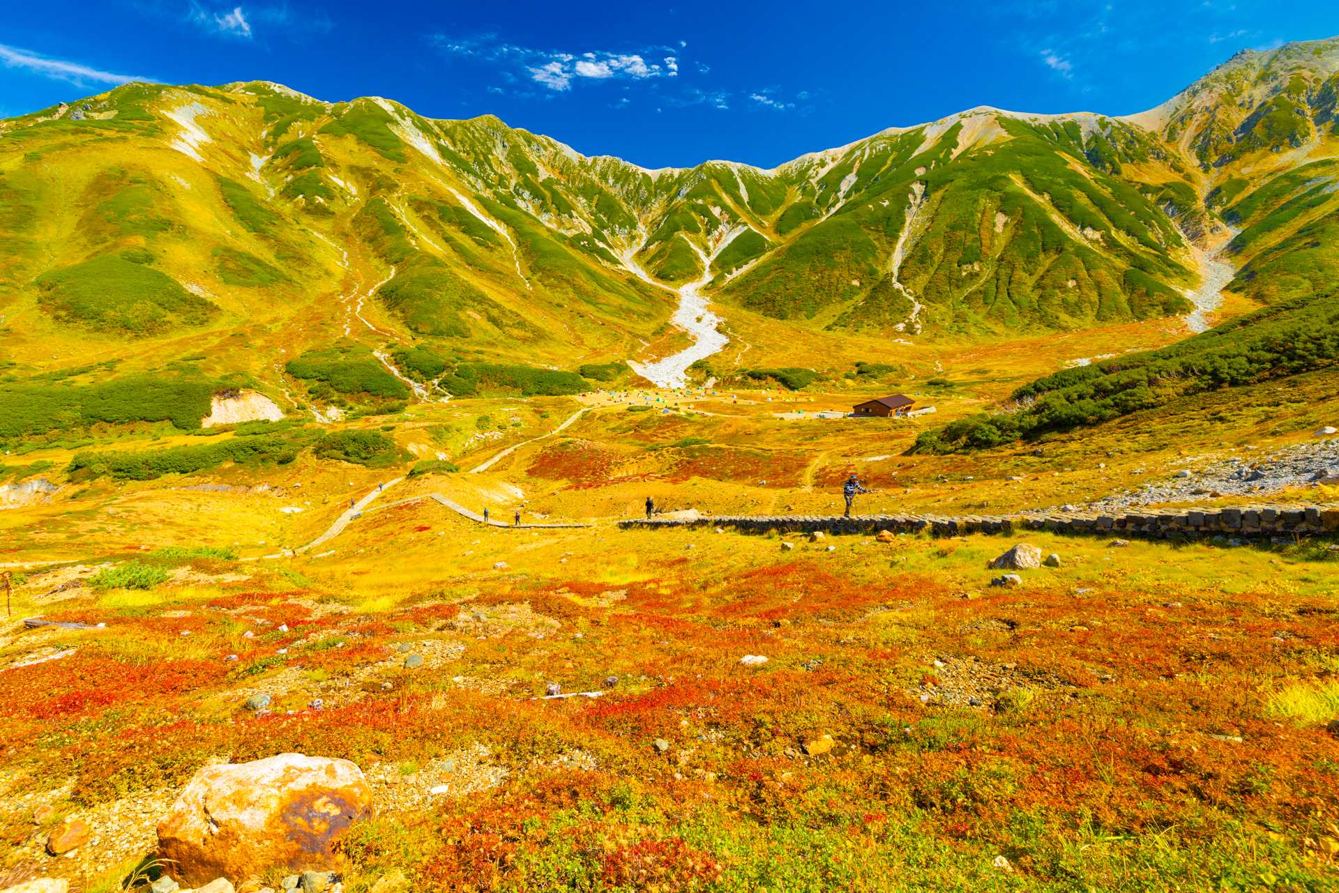 キヤノン EOS R5 Mark II／RF15-35mm F2.8 L IS USM／15mm／マニュアル露出（1/200秒、F10）／ISO 400