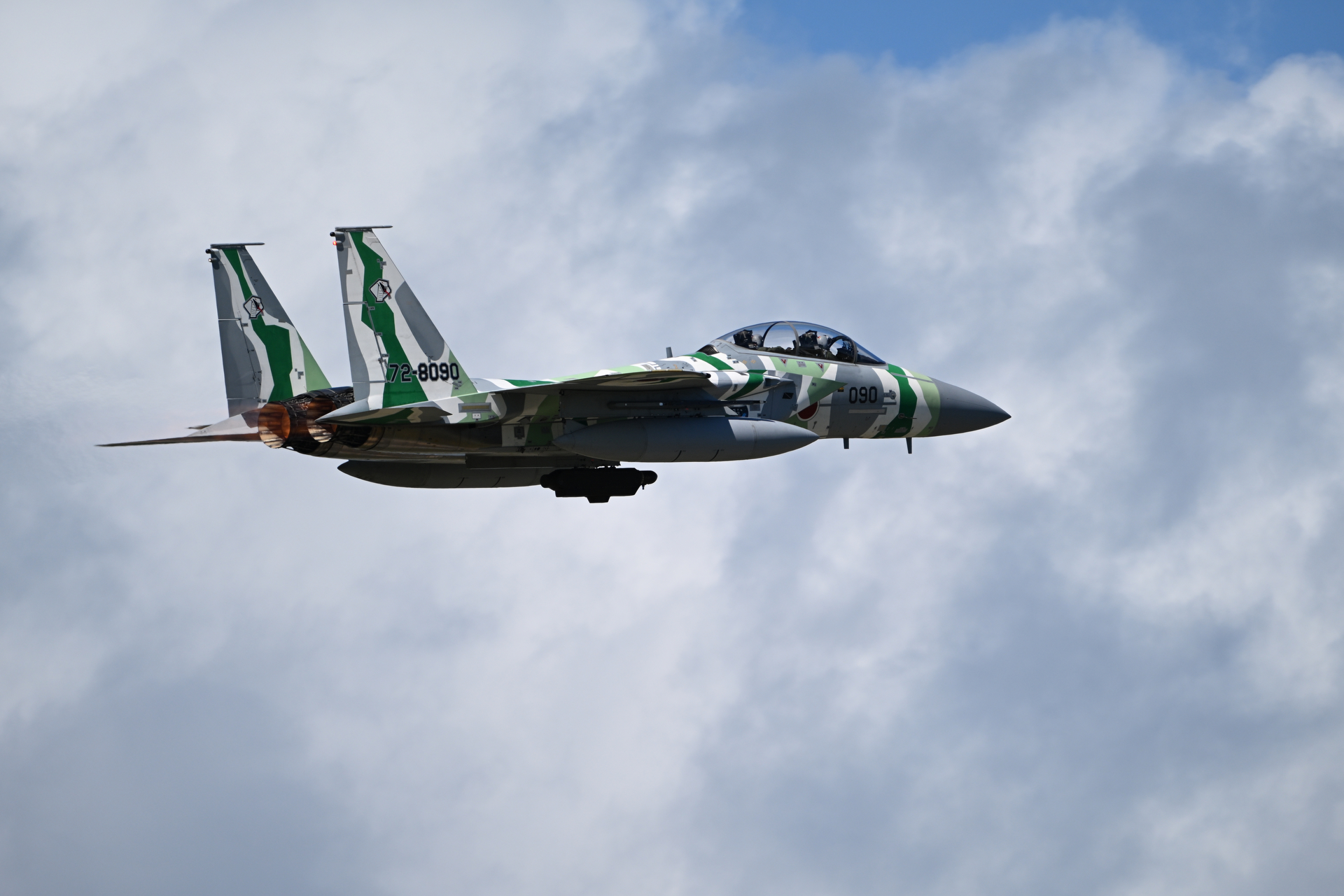 ニコン Z6III／NIKKOR Z 180-600mm f/5.6-6.3 VR／560mm／マニュアル露出（1/2,000秒、F6.3）／ISO 250／WB：オート