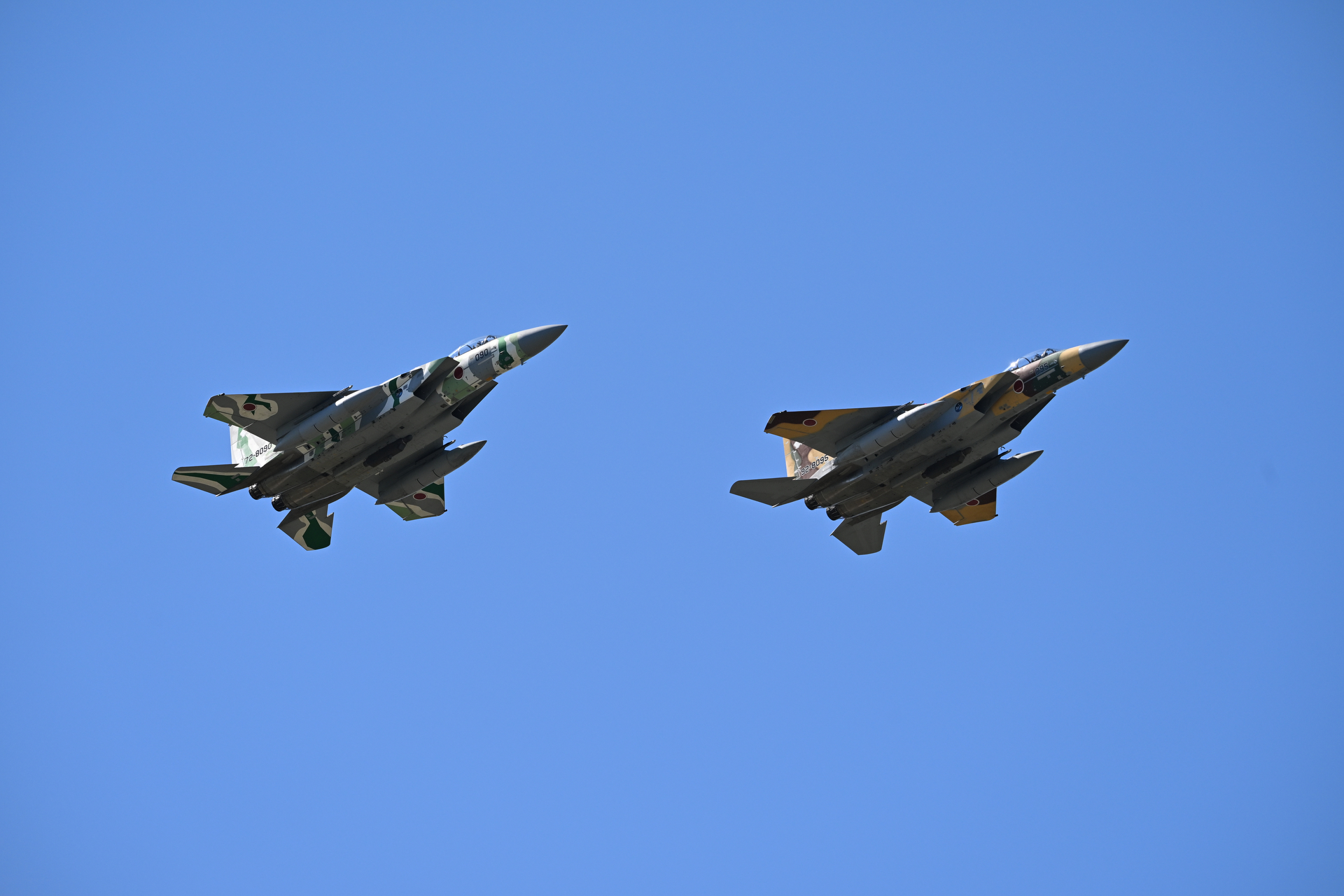 ニコン Z6III／NIKKOR Z 180-600mm f/5.6-6.3 VR／310mm／マニュアル露出（1/2,000秒、F6.3）／ISO 400／WB：オート