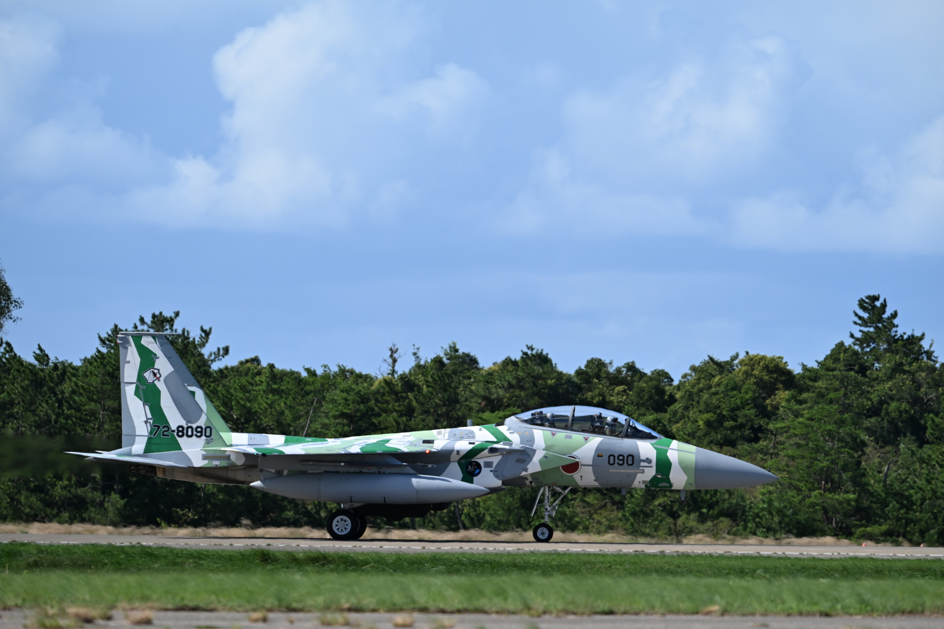 ニコン Z6III／NIKKOR Z 180-600mm f/5.6-6.3 VR／410mm／マニュアル露出（1/2,000秒、F6.3）／ISO 400／WB：オート