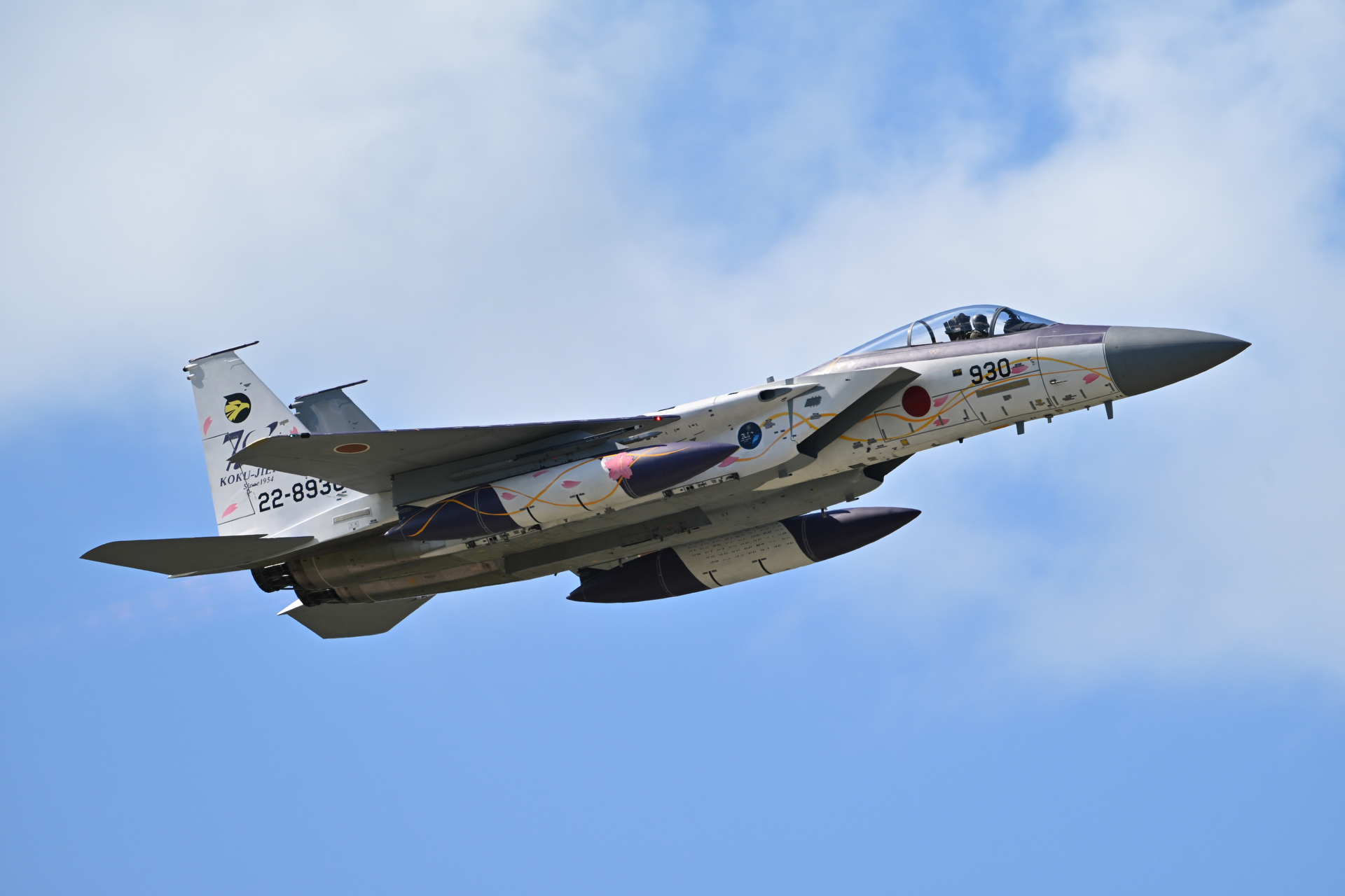 ニコン Z6III／NIKKOR Z 180-600mm f/5.6-6.3 VR／600mm／マニュアル露出（1/2,500秒、F6.3）／ISO 400／WB：オート