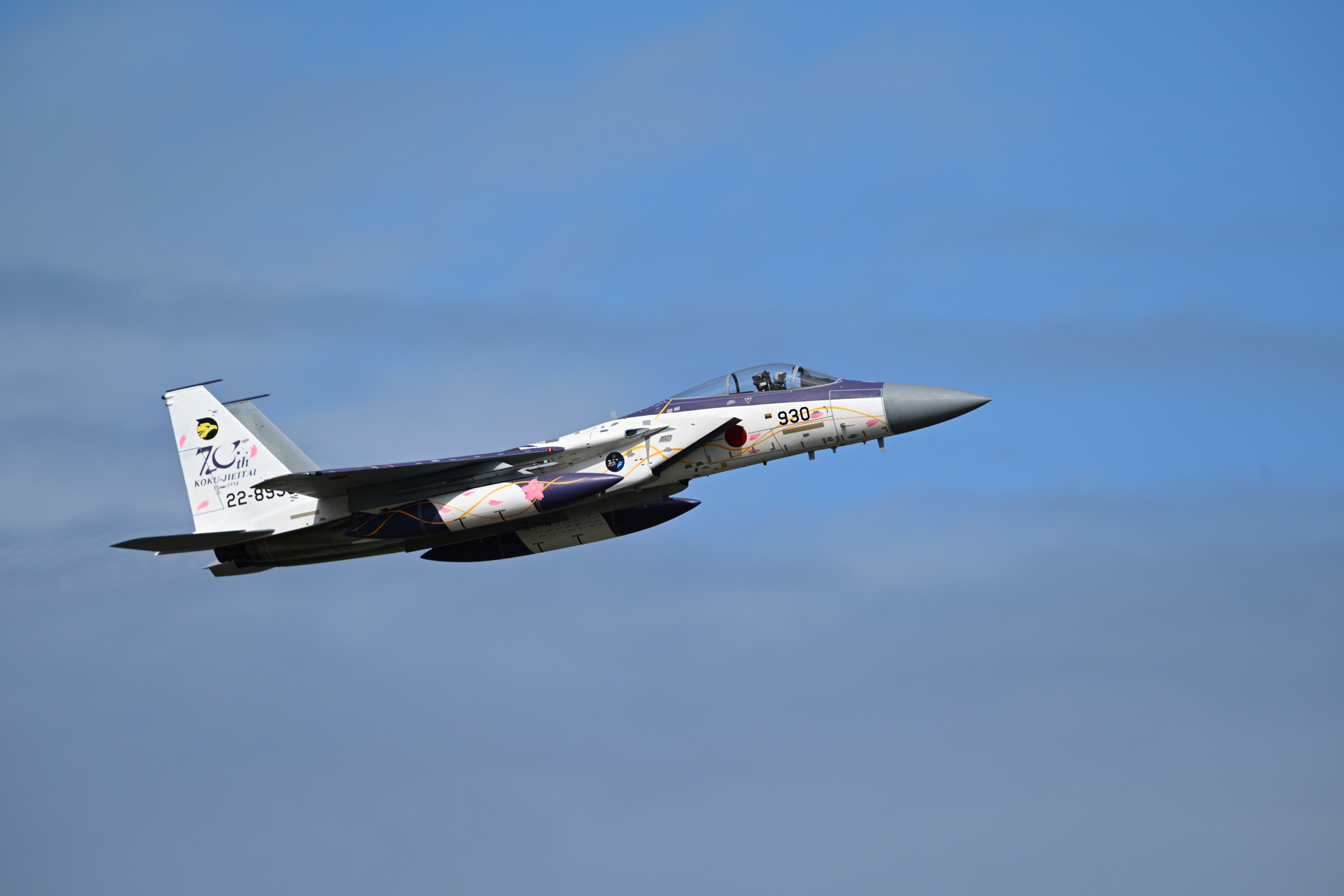 ニコン Z6III／NIKKOR Z 180-600mm f/5.6-6.3 VR／600mm／マニュアル露出（1/2,000秒、F7.1）／ISO 250／WB：オート