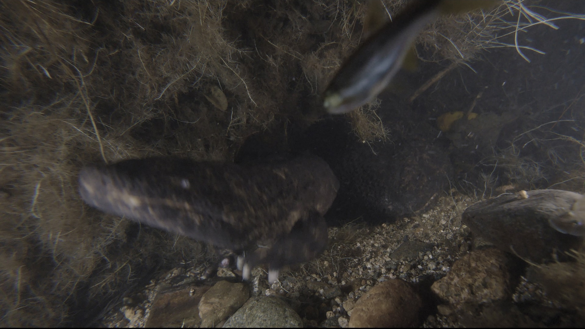 8K RAW記録した動画をそのまま切り出したもの。RAW動画は色や明るさの補正が容易に行えるので、静止画の切り出しにも便利だ