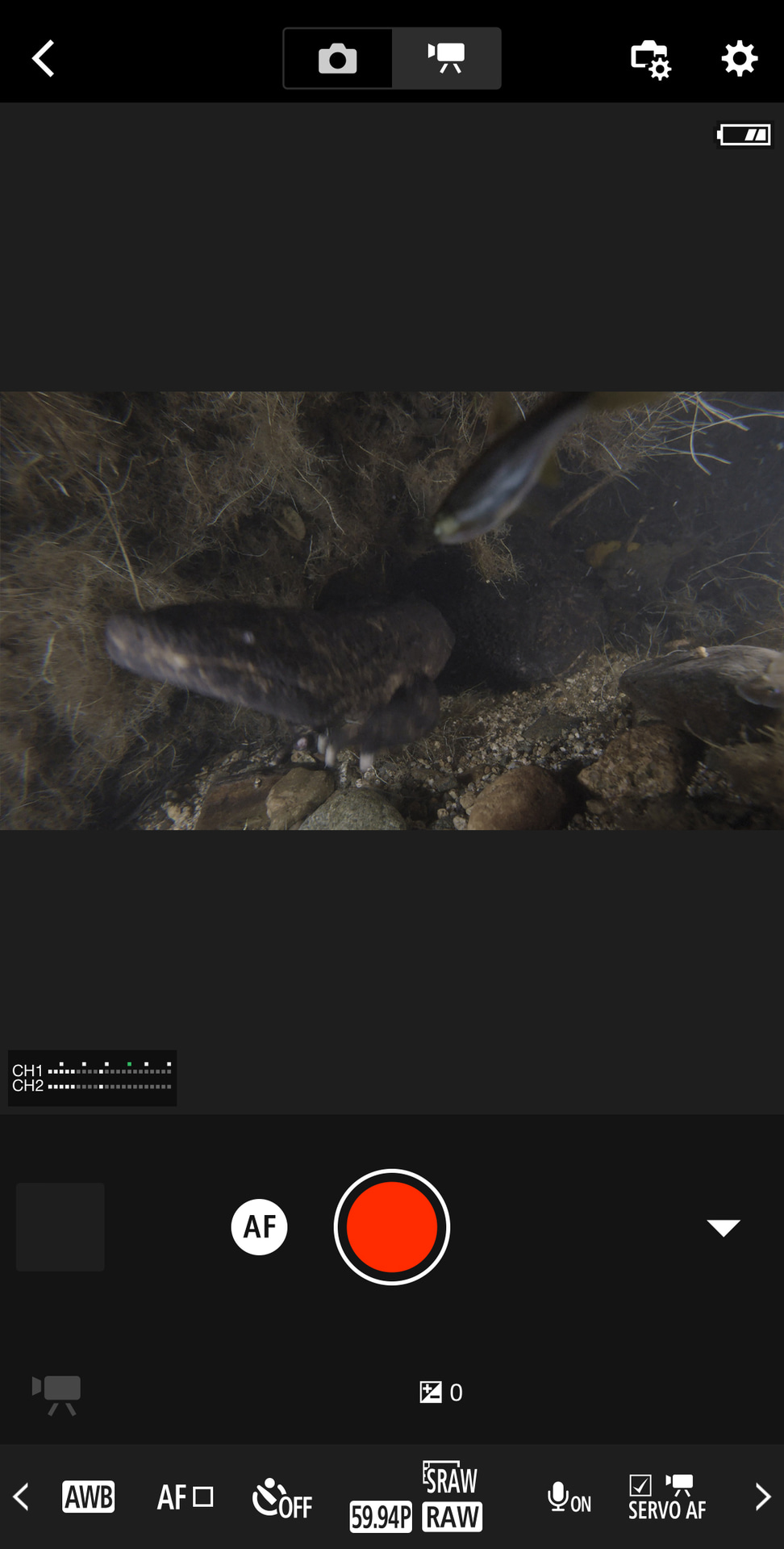 動画撮影で便利なのが、スマホアプリCamera Connectによるリモート撮影。先述の記録形式もアプリから変更できて、スムーズに撮影できる