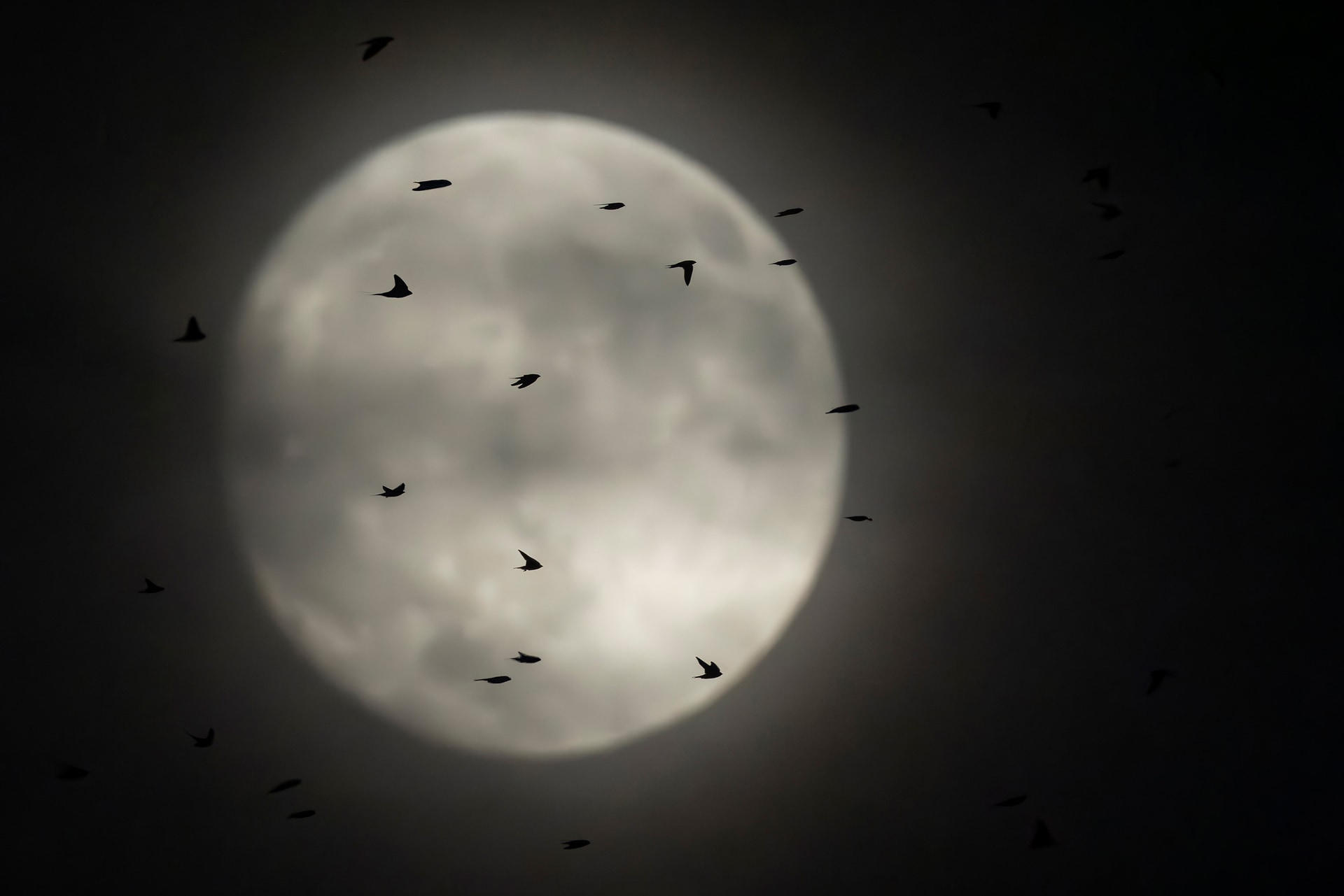 ③月の周辺のみをトリミング。明るさを微調整して仕上げた作品<br><span class="fnt-85">キヤノン RF800mm F5.6 L IS USM+EXTENDER RF1.4x／1,120mm／シャッター優先AE（F13、1/1,000秒、－2.0EV）／ISO 6400／WB：オート／ニューラルネットワークノイズ低減＋カメラ内アップスケーリング</span>