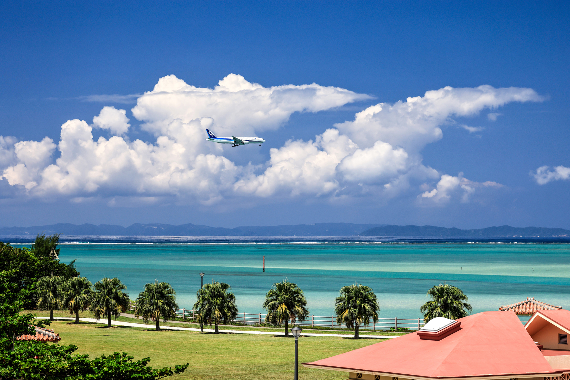 <span class="fnt-85">キヤノン EOS R5 Mark II／RF100-500mm F4.5-7.1 L IS USM／118mm／絞り優先AE（F7.1、1/800秒、－0.3EV）／ISO 400／WB：オート</span>