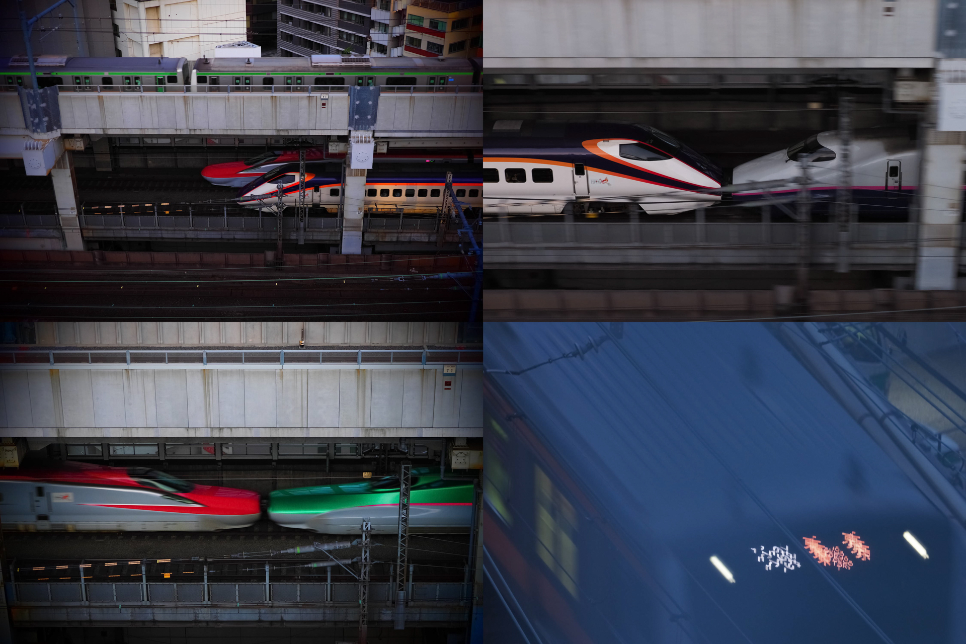 全てOLYMPUS E-M1 Mark II/絞り優先AE(左上)M.ZUIKO DIGITAL ED 12-100mm F4.0 IS PRO(F4、1/250秒、−0.7EV)/ISO 200(右上)M.ZUIKO DIGITAL ED 40-150mm F2.8 PRO(F8、1/50秒、−1EV)/ISO 800(左下)M.ZUIKO DIGITAL ED 12-100mm F4.0 IS PRO(F4、1/80秒、−1EV)/ISO 400(右下)M.ZUIKO DIGITAL ED 300mm F4.0 IS PRO(F4、1/30秒、−1.3EV)/ISO 800