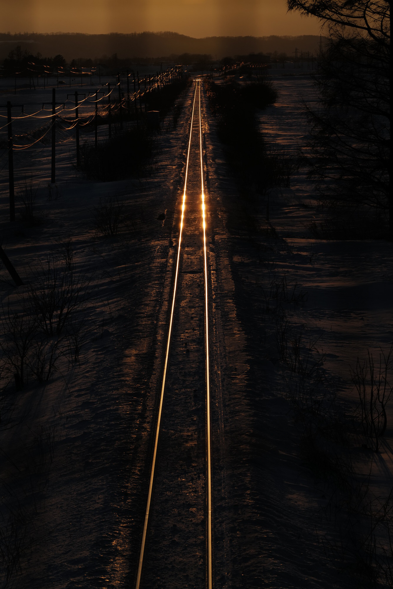 利別付近の鉄橋にて　ライカ SL2／60-600mm F4.5-6.3 DG DN OS | Sports／絞り優先AE（F8、1/4,000秒、−2.6EV）／ISO 400