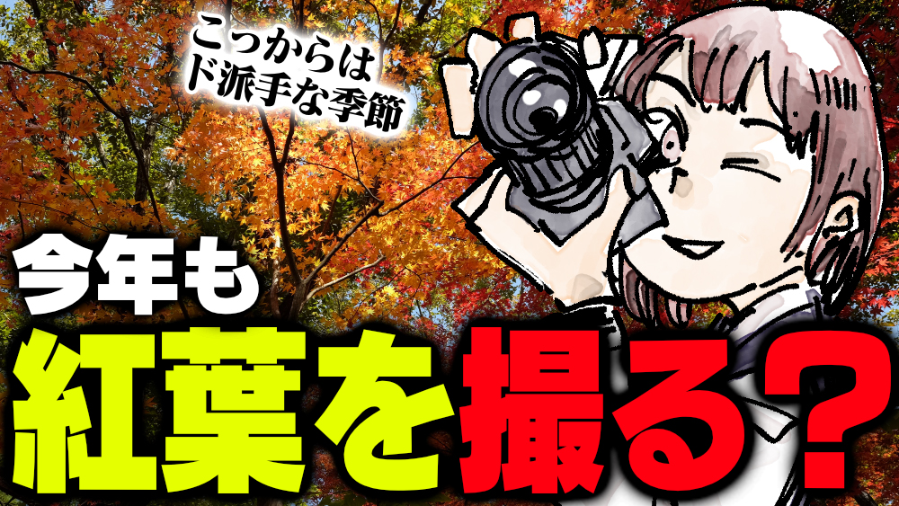 イラスト：飯田ともき