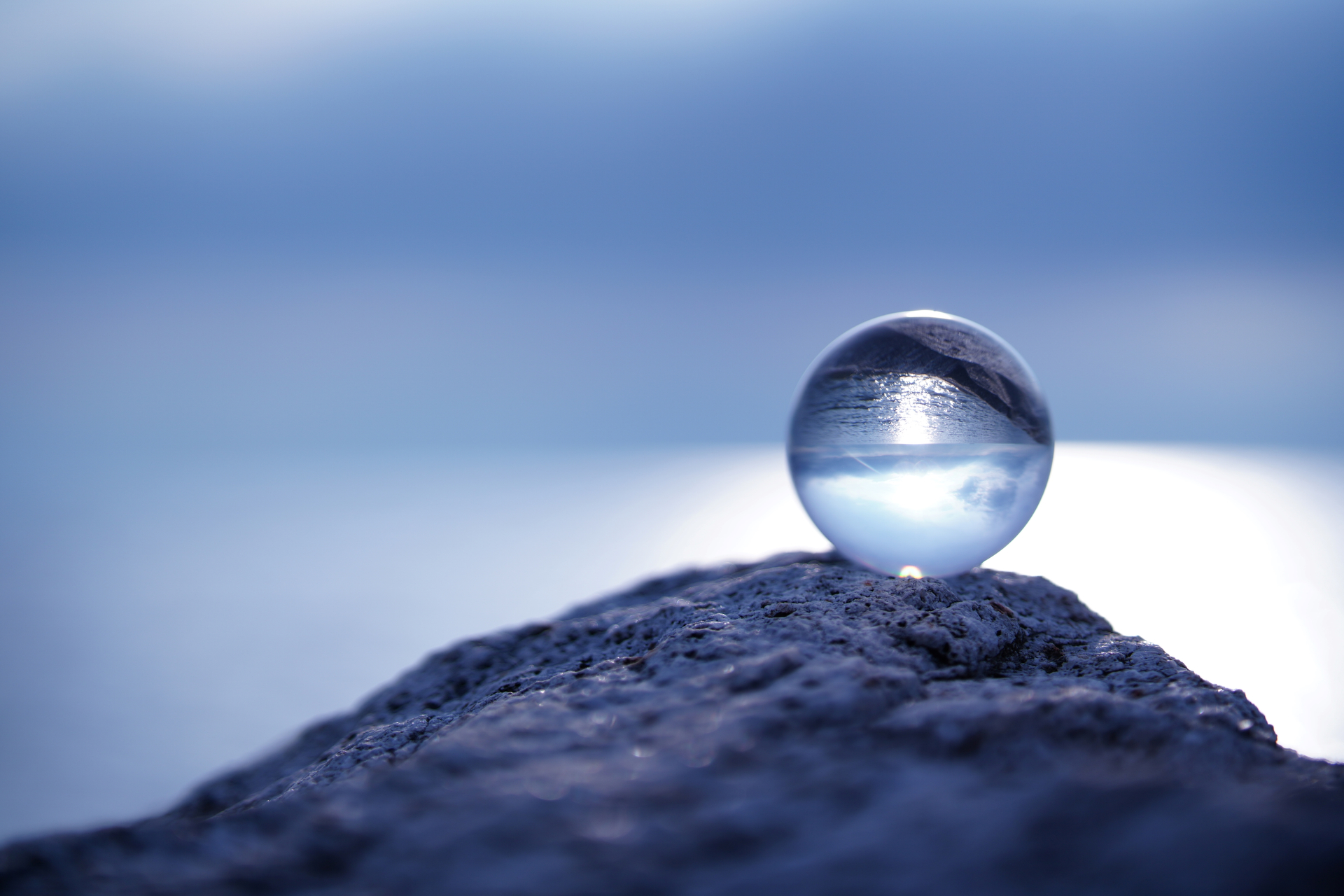 サンプル写真（提供：焦点工房）