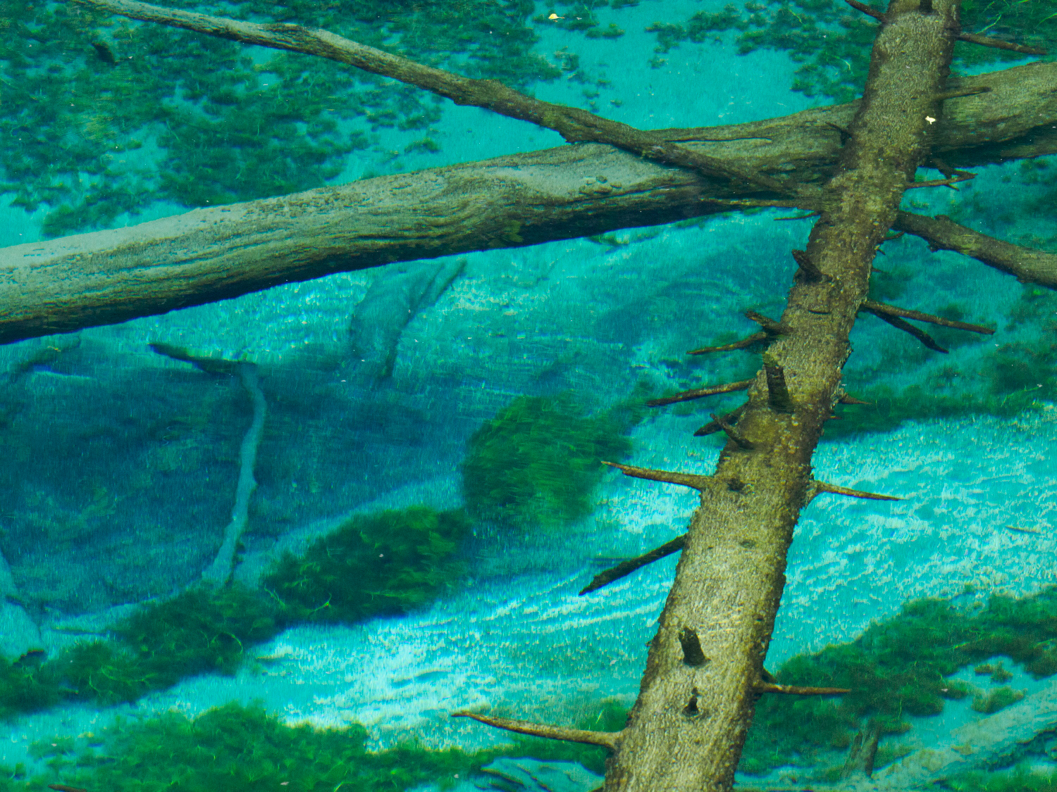 <span class="fnt-85">OMDS OM SYSTEM OM-1 Mark II／M.ZUIKO DIGITAL ED 40-150mm F2.8 PRO／125mm（250mm相当）／マニュアル露出（F5.6、1/125秒）／ISO 3200／WB：晴天</span>