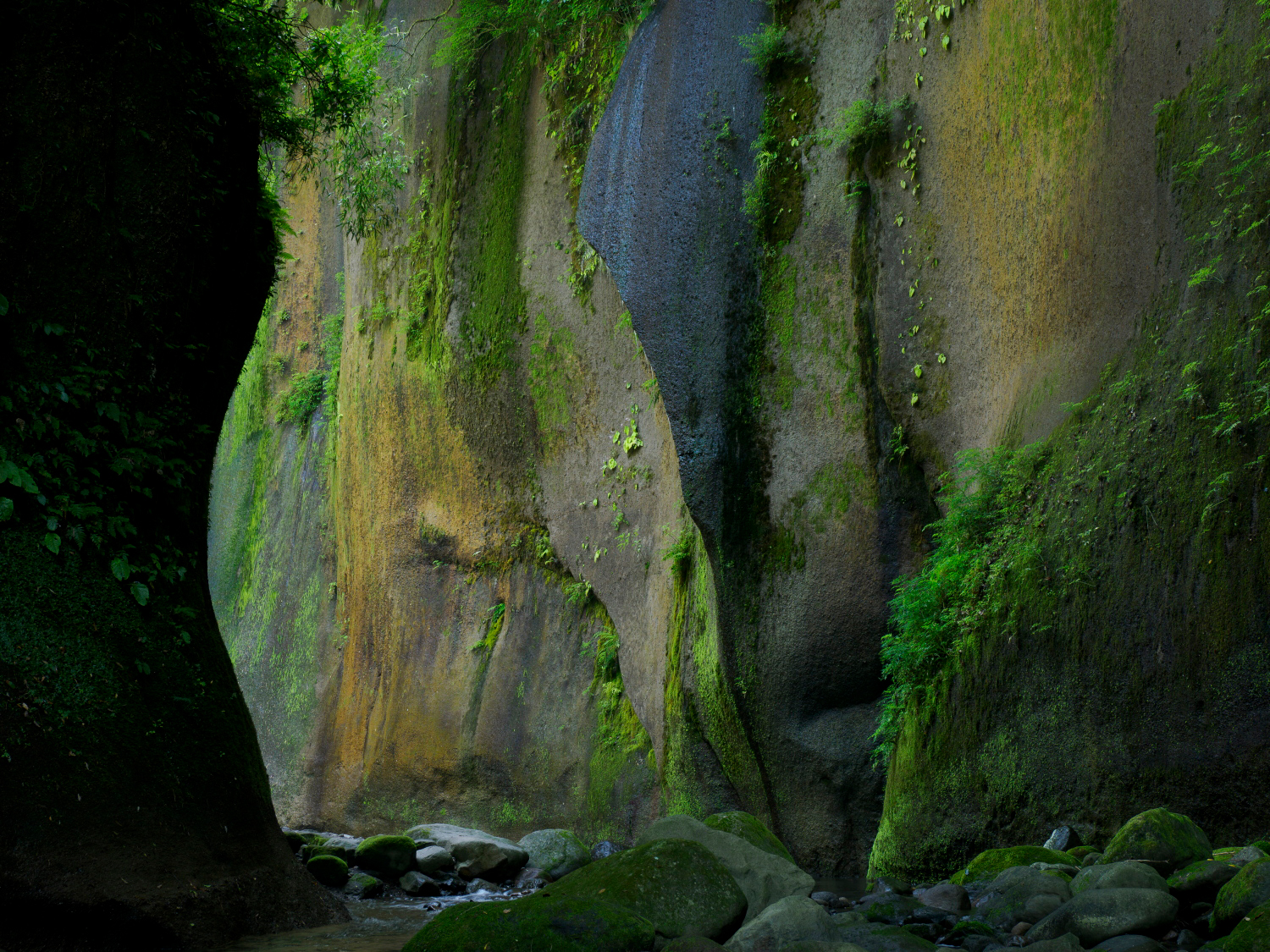 <span class="fnt-85">OMDS OM SYSTEM OM-1 Mark II／M.ZUIKO DIGITAL ED 12-100mm F4.0 IS PRO／24mm（48mm相当）／マニュアル露出（F5.6、1/5秒）／ISO 200／WB：晴天</span>