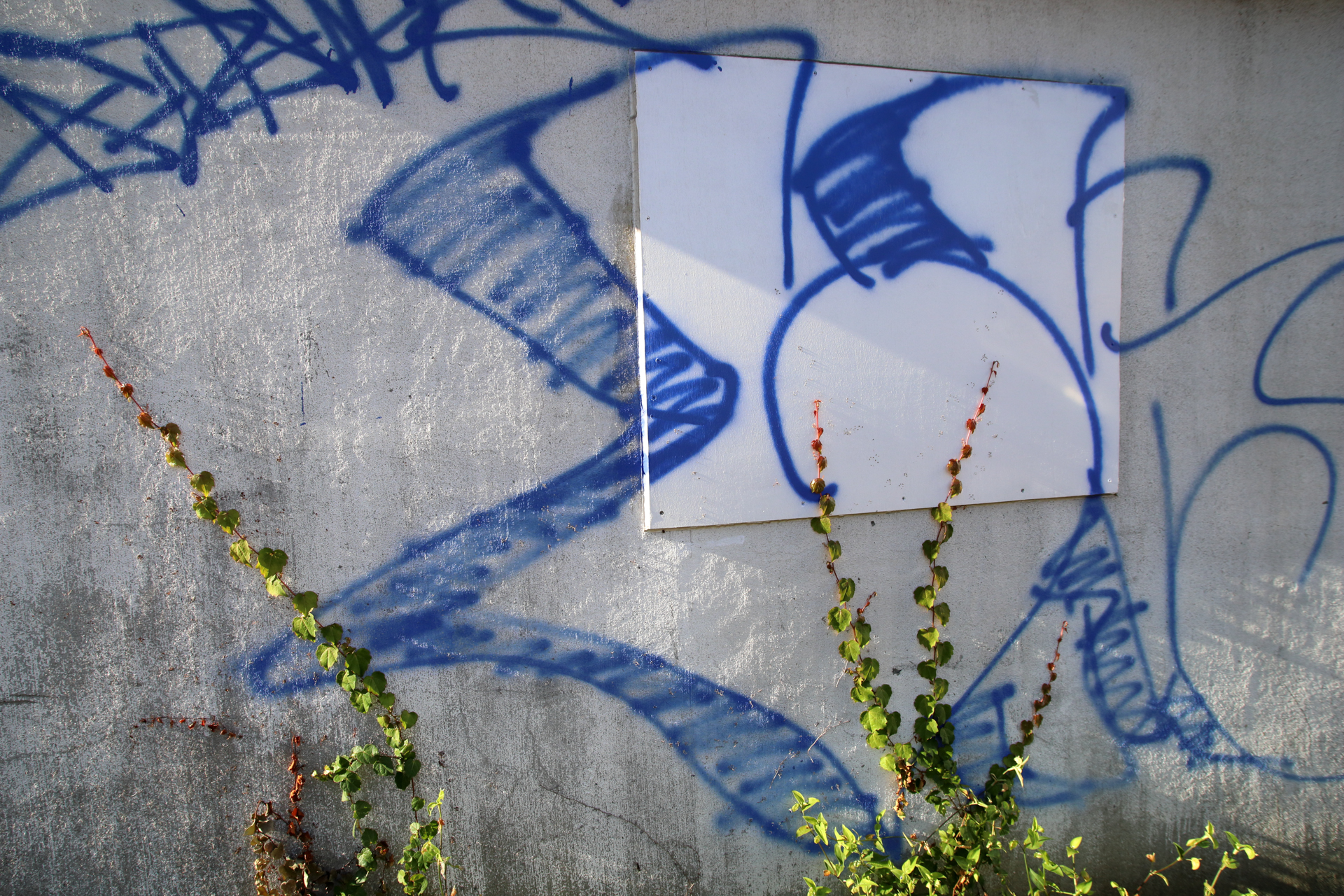 こうした単純な画でもヌケの良さは感じるわけです。Rシリーズになって、ごく薄いベールのようなものが消失した感じがします。<br><span class="fnt-85">キヤノン EOS RP／シグマ 20mm F1.8 EX DG／プログラムAE（1/500秒、F8.0、±0.0EV）／ISO 400</span>