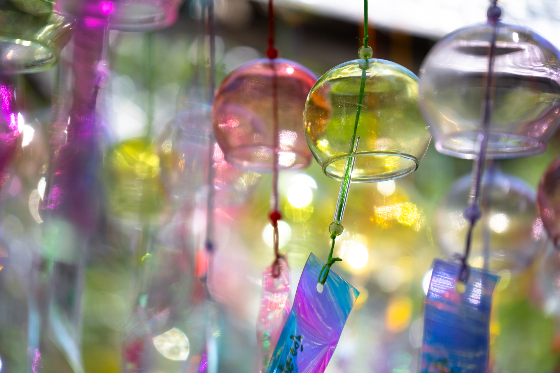 ソニーα7RⅤ／28-300mm F4-7.1 Di III VC VXD／300mm／絞り優先AE（F7.1・1/800秒・±0EV）／ISO 400