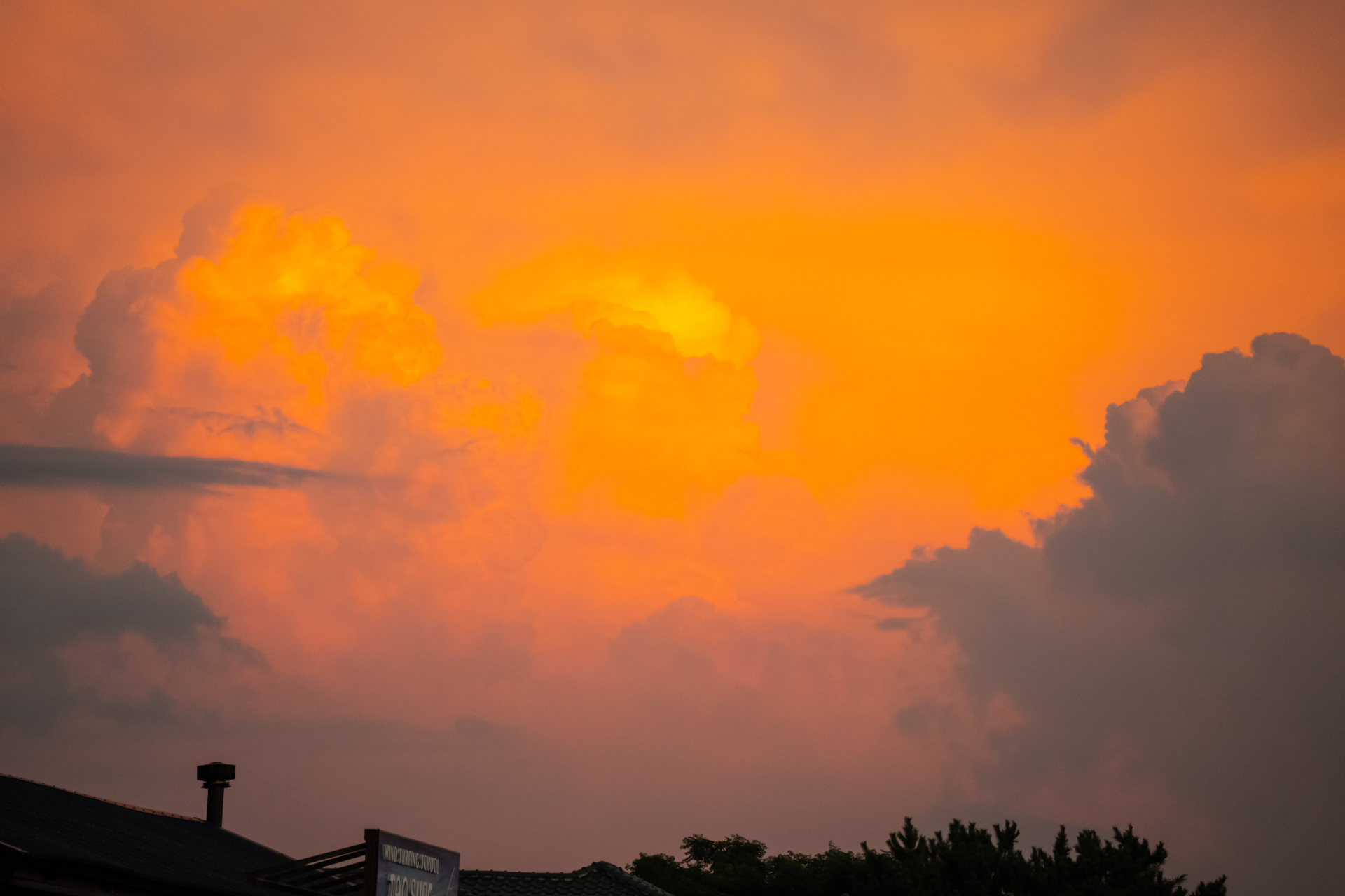 ソニーα7RⅤ／28-300mm F4-7.1 Di III VC VXD／196mm／絞り優先AE（F7.1・1/320秒・±0EV）／ISO 1,250