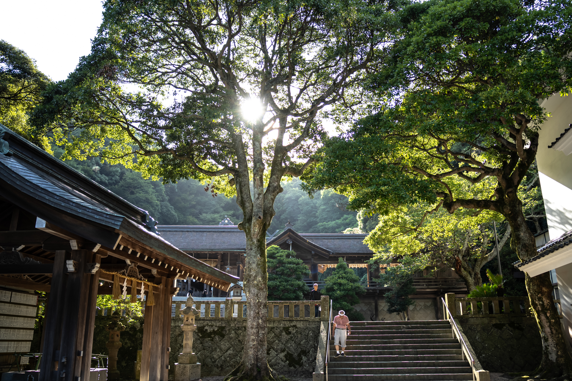 ソニーα7RⅤ／28-300mm F4-7.1 Di III VC VXD／28mm／絞り優先AE（F4・1/ 250秒・+1・2/3 EV）／ISO 400