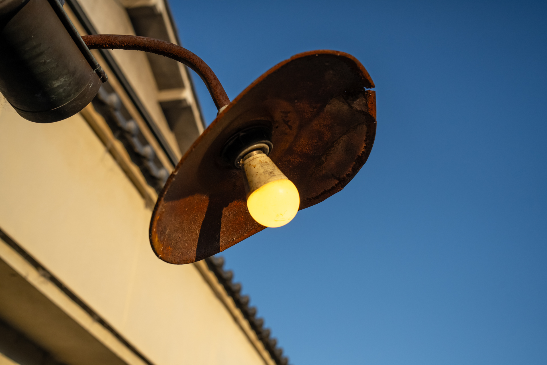 ソニーα7RⅤ／28-300mm F4-7.1 Di III VC VXD／49mm／絞り優先AE（F7.1・1/4,000秒・−2/3 EV）／ISO 800