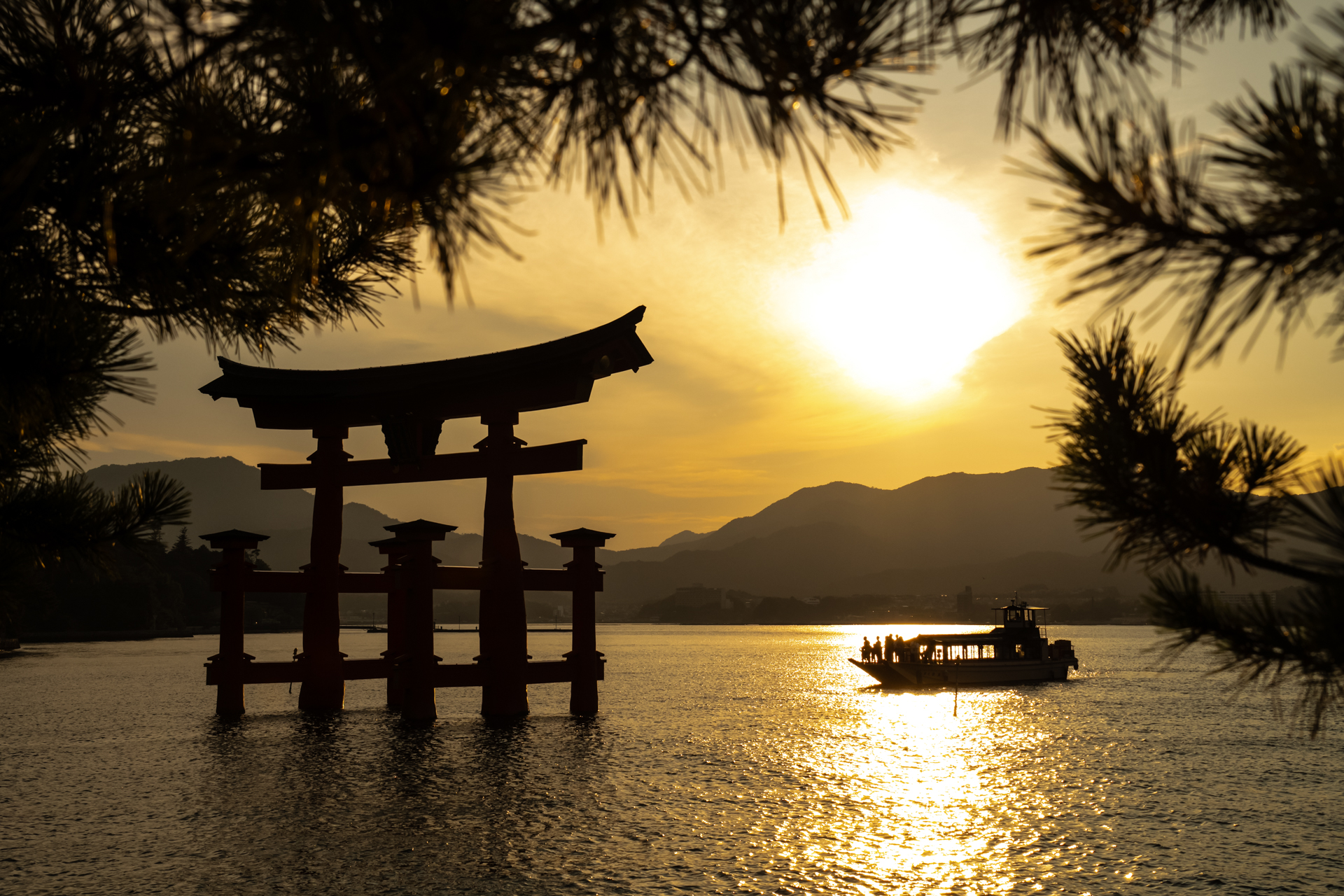 ソニーα7RⅤ／28-300mm F4-7.1 Di III VC VXD／51mm／絞り優先AE（F11・1/1,000秒・−2/3 EV）／ISO 800