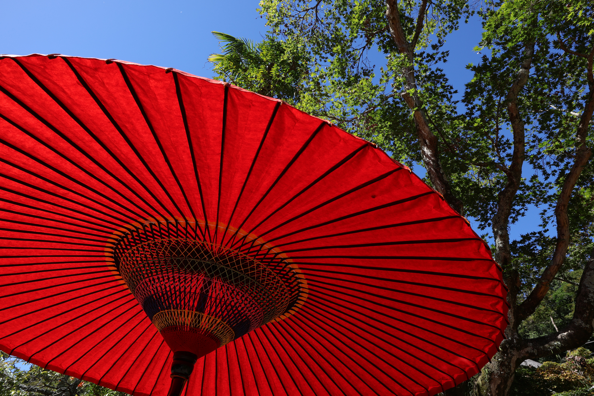 キヤノン EOS R10／SIGMA 10-18mm F2.8 DC DN｜Contemporary／14mm（22.4mm相当）／絞り優先AE（1/160秒、F8.0、−1.7EV）／ISO 100