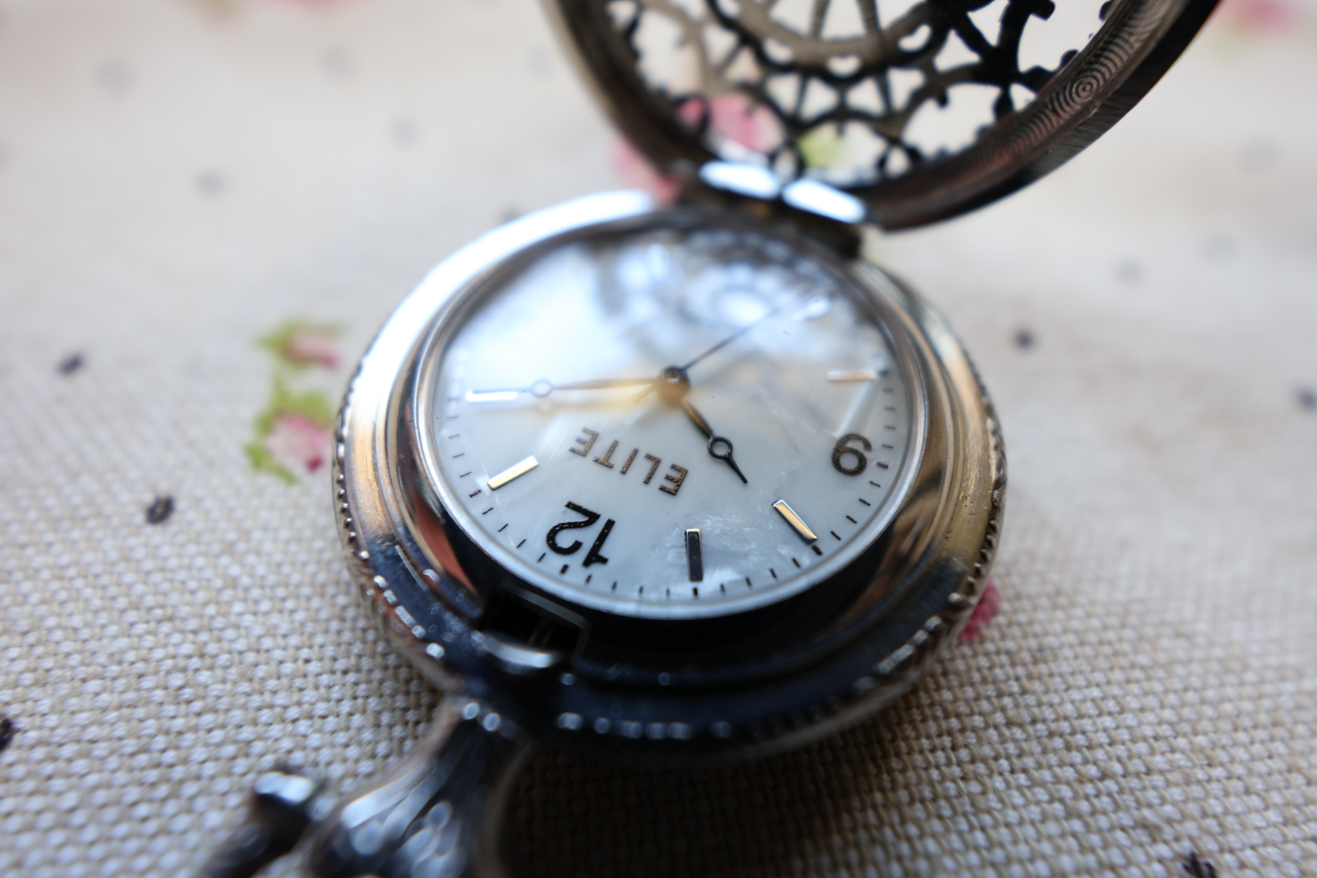 キヤノン EOS R10／SIGMA 10-18mm F2.8 DC DN｜Contemporary／10mm（16mm相当）／絞り優先AE（1/80秒、F2.8、＋1.0EV）／ISO 250