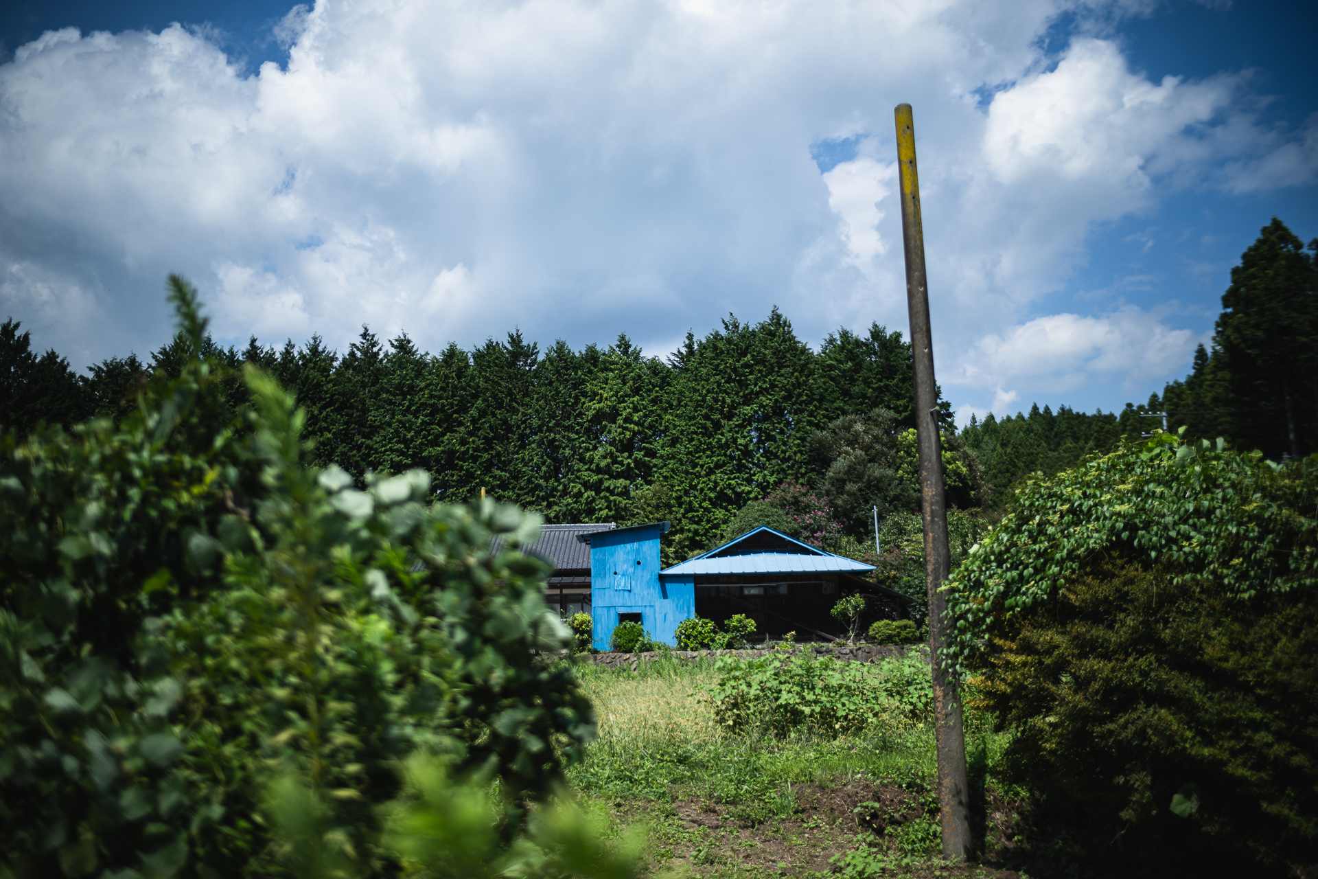 ちょっと面白いシミュラクラ現象を発見！逆三角形に並ぶ３点を見つけちゃうと人の顔に見えちゃうアレです。ちょっと拡大してみてね。この写真で使ったレンズはLAOWA Argus 35mm F0.95。絞りは開放。広角でボケを活かせるのでとても好きなレンズ。全体の状況を取り込みながら、主題以外を省略できるから面白いんだよね