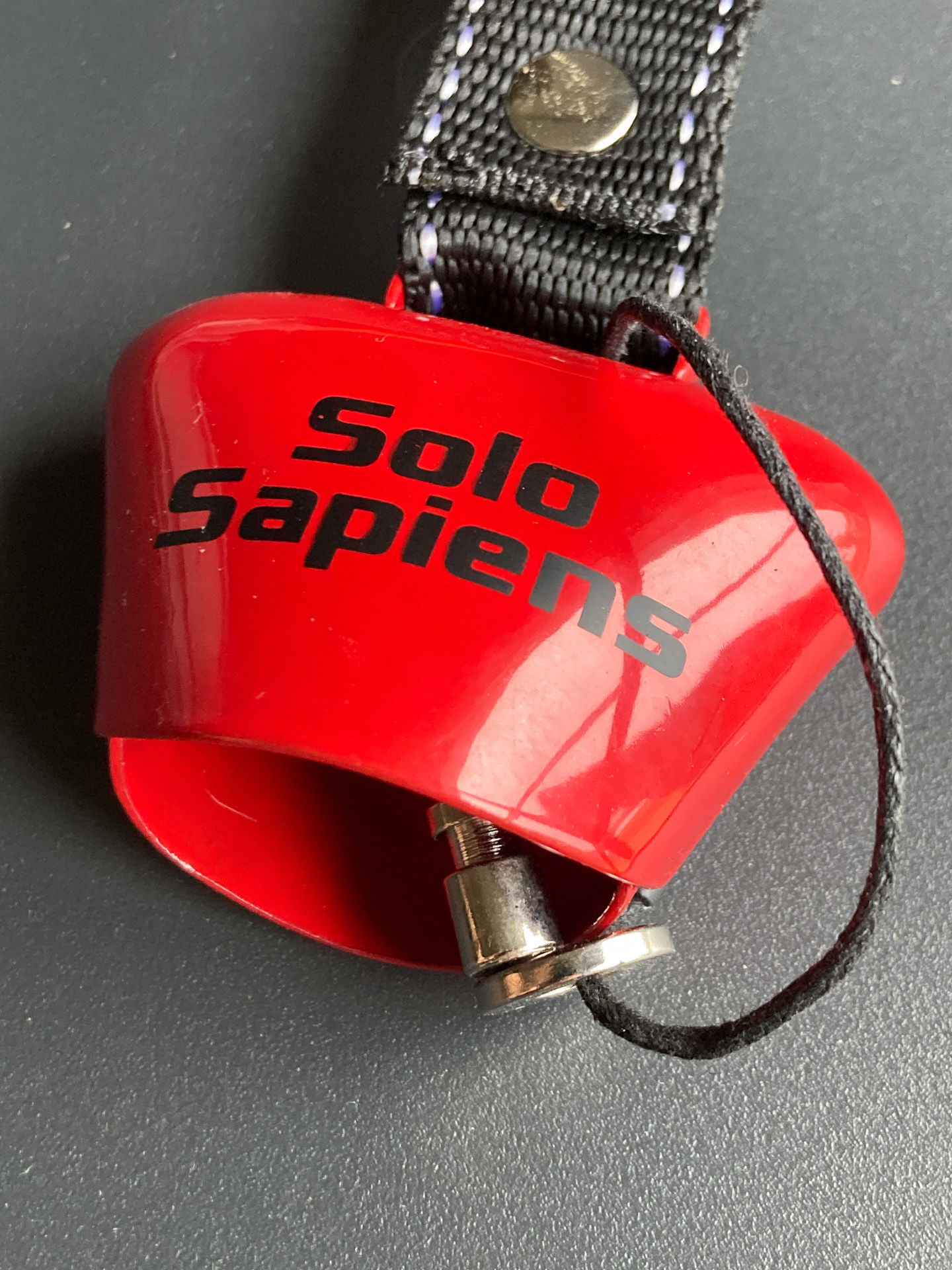 音は、山でよく聞くカランカランて言うあの音。最近のものはみんな鳴り止めがついているみたい