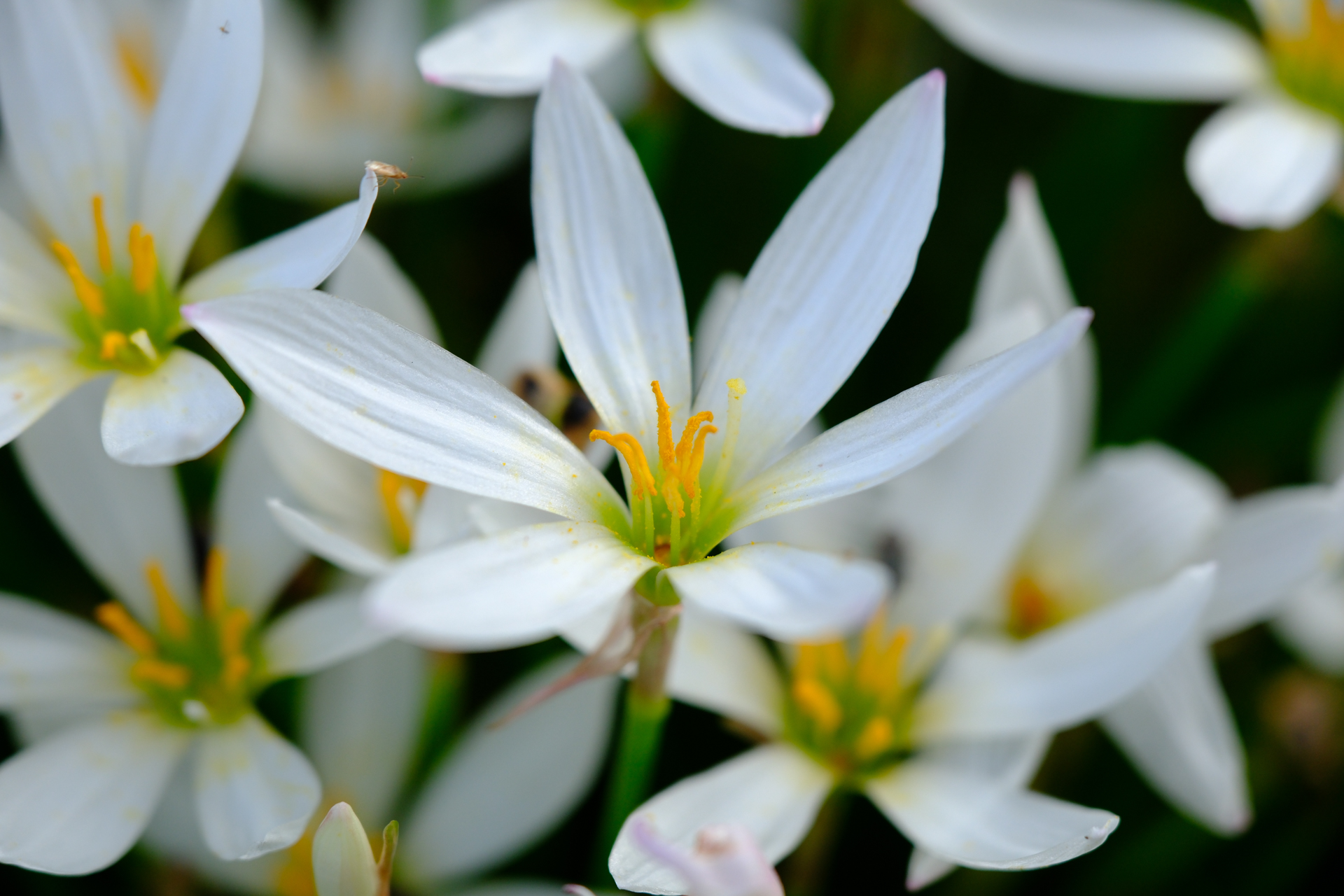 富士フイルム X-T5／XF16-55mmF2.8 R LM WR II／55mm（83mm相当）／絞り優先AE（1/950秒、F2.8、＋0.7EV）／ISO 400