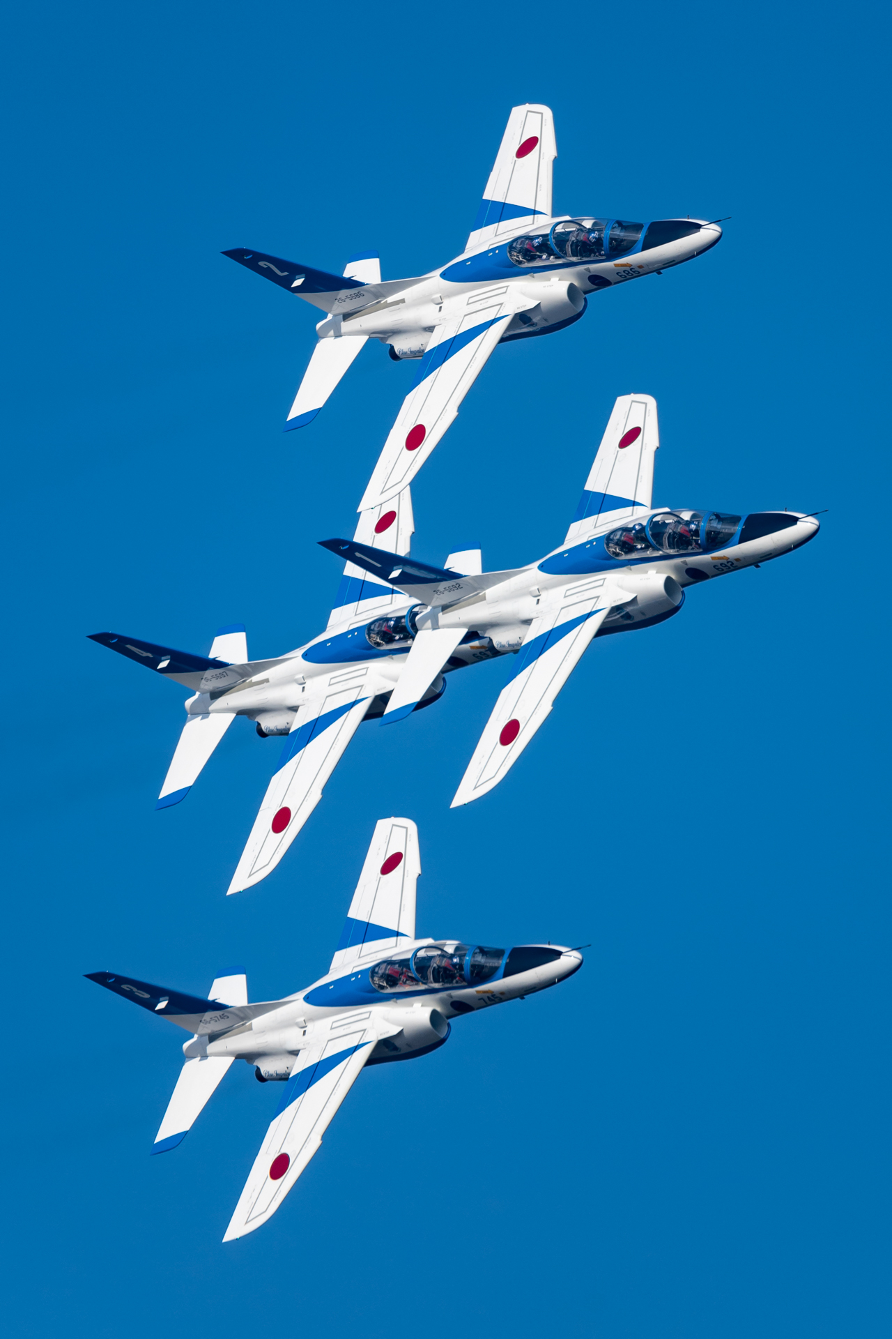 EOS 6D Mark II／EF100-400mm F4.5-5.6L IS II USM／400mm／絞り優先AE（1/1,600秒、F6.3）／ISO 200