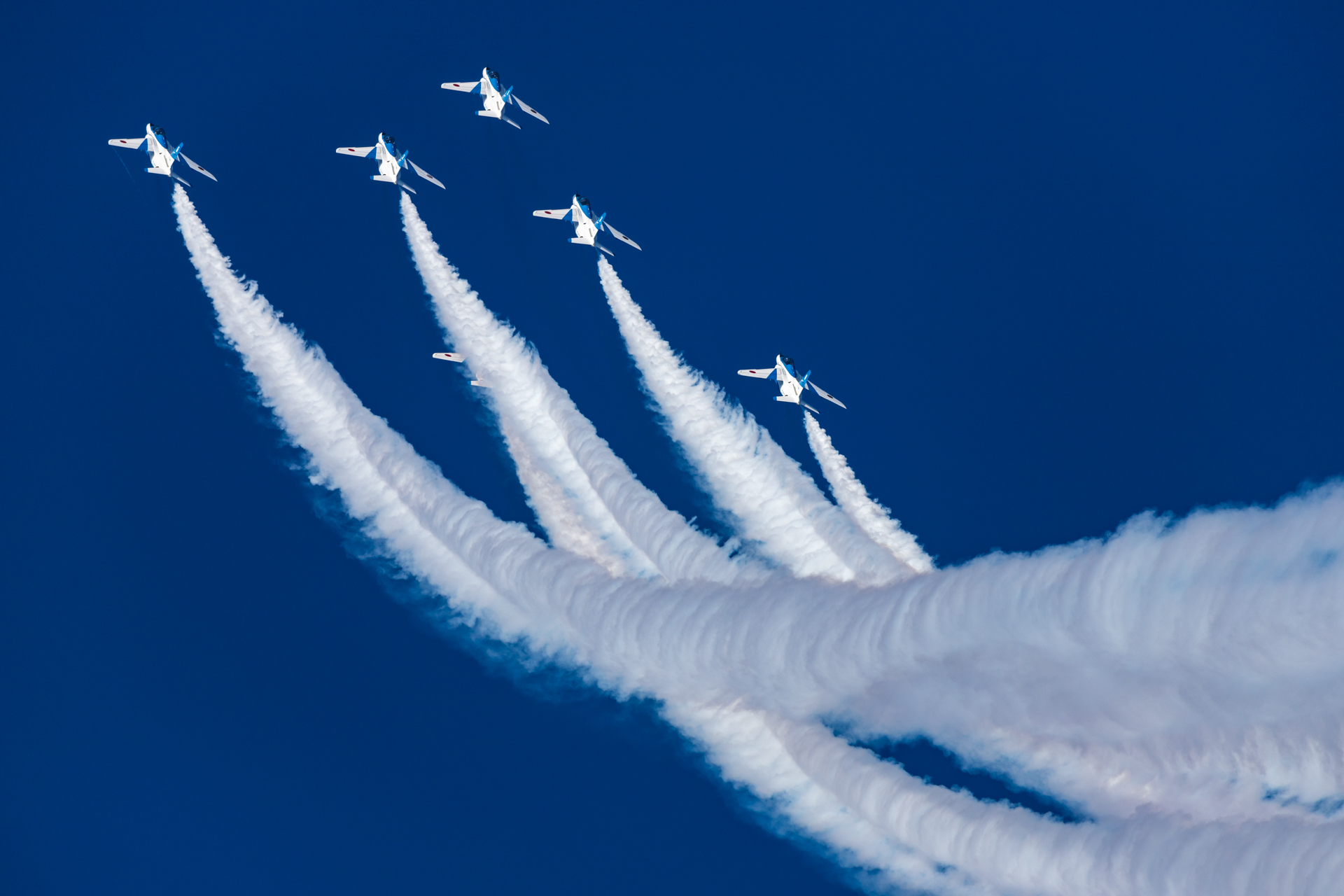 EOS 6D Mark II／EF100-400mm F4.5-5.6L IS II USM／400mm／絞り優先AE（1/1,600秒、F6.3）／ISO 400