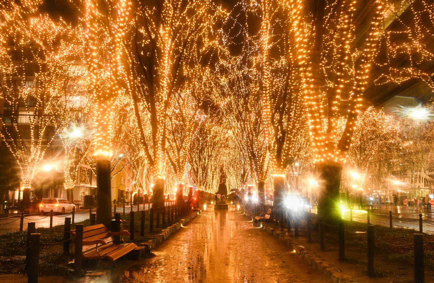 2024 SENDAI光のページェント