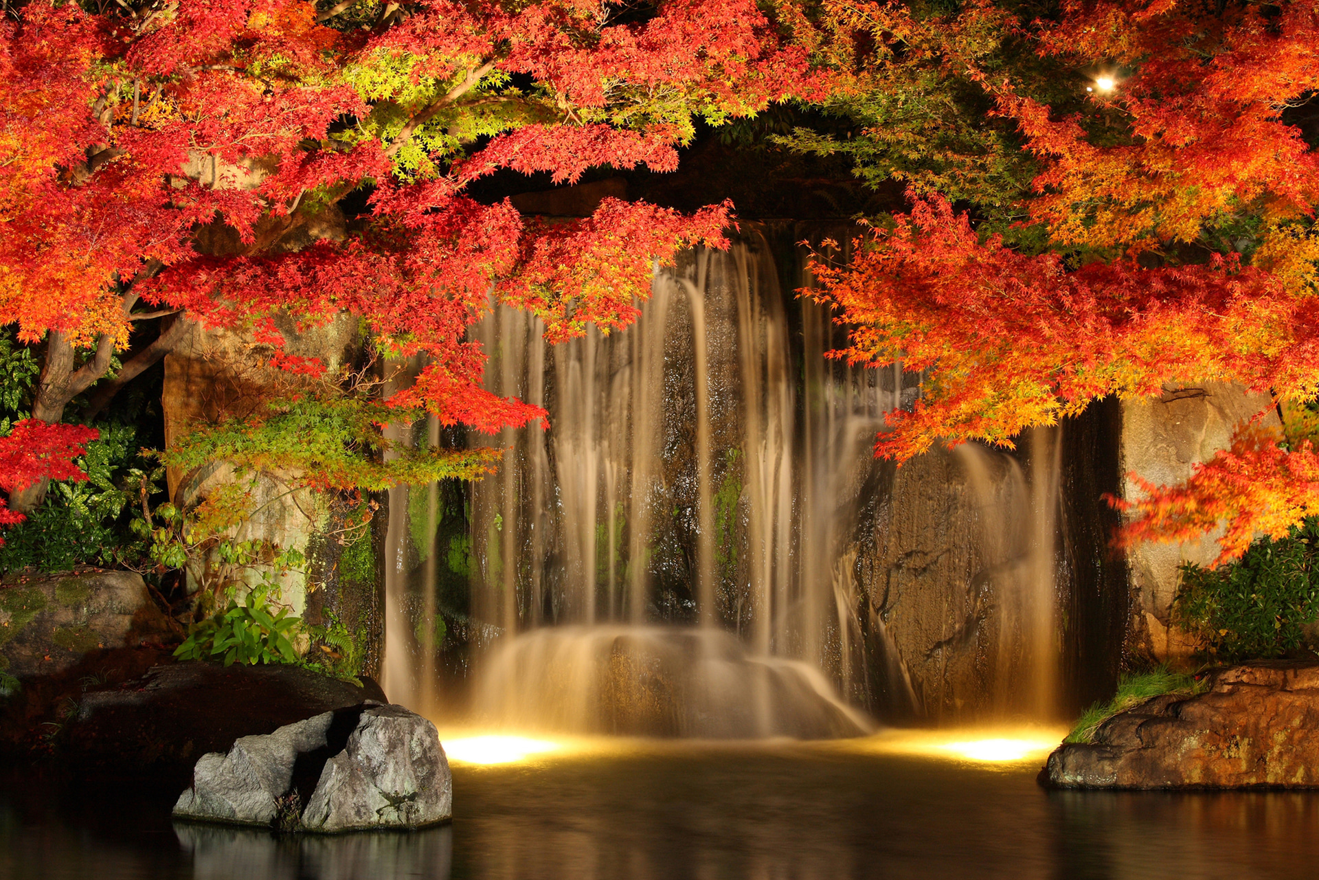 御屋敷の庭 大滝ライトアップ