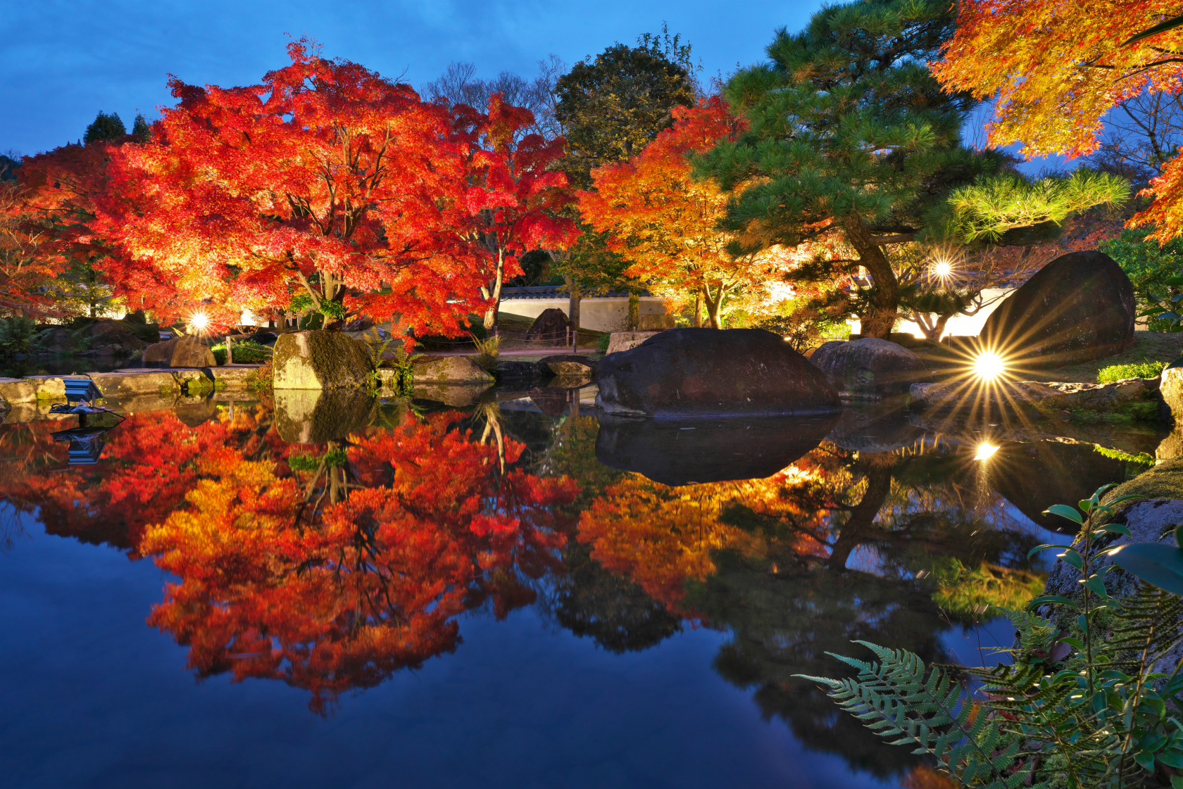 築山池泉の庭 紅葉ライトアップ