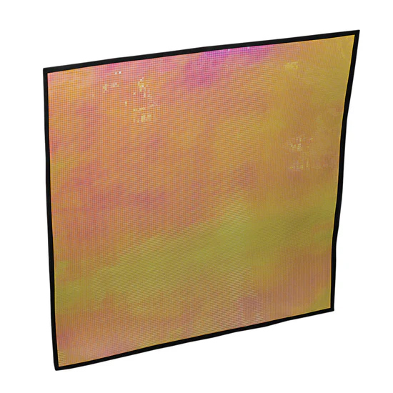 トロピカルオレンジ