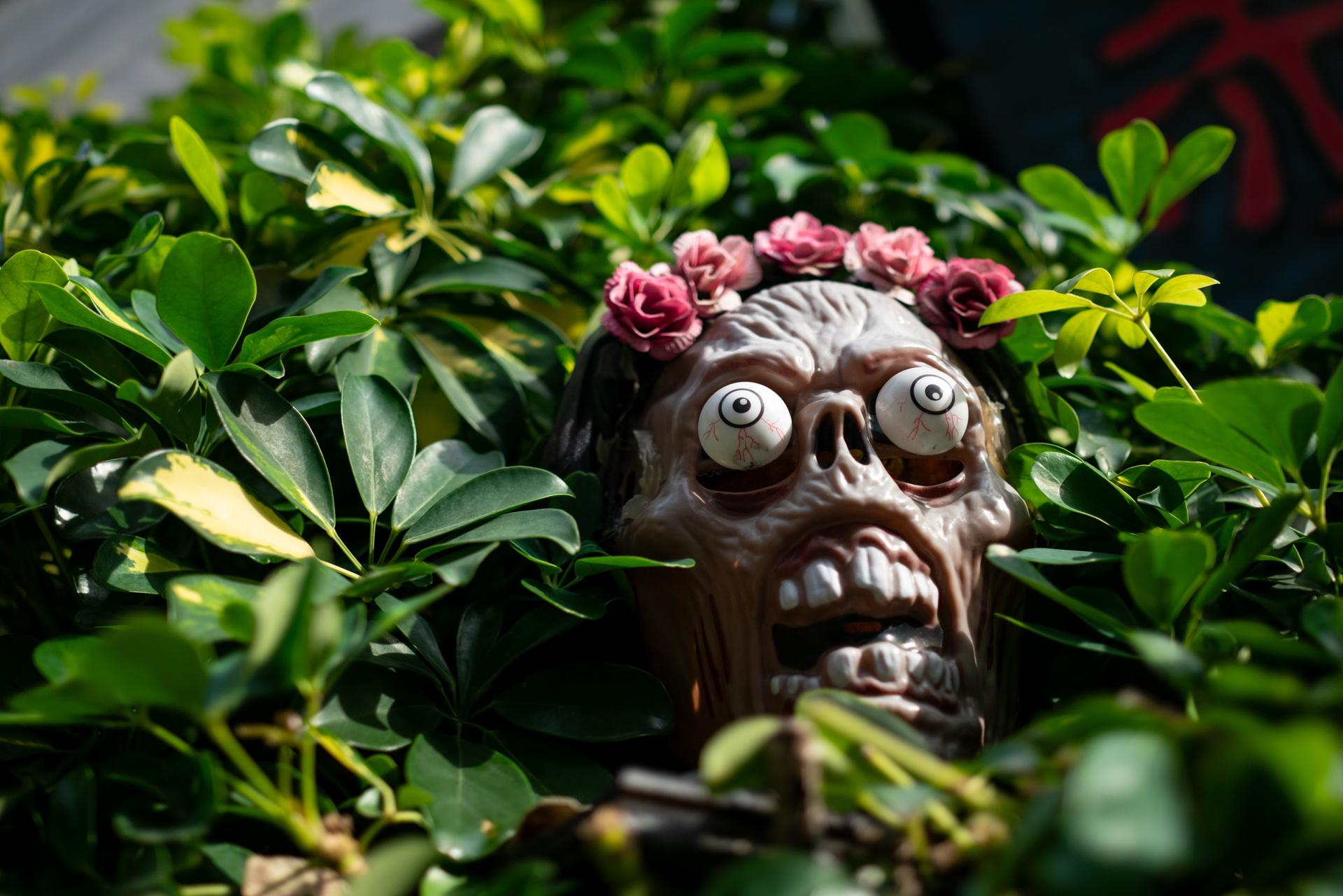 フォーカスの精度は高いですね。レンズ性能が優秀なので本気を見せたい時はとてもありがたいです。<br><span class="fnt-85">RX1RII／35mm／絞り優先AE（1/1,250秒、F2.0、−1.7EV）／ISO 100</span>