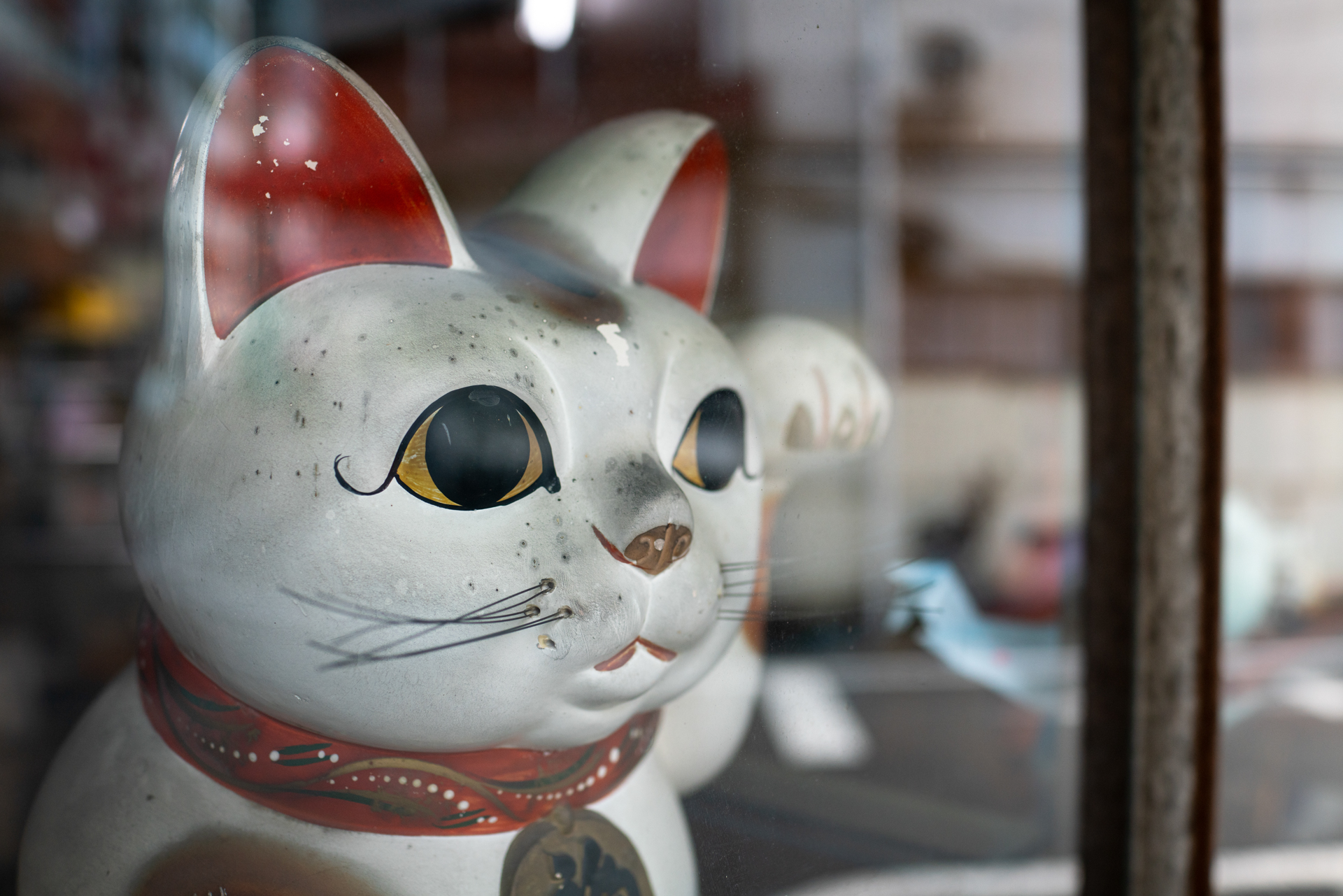 ガラス越しなのに、質感再現は見事です。レンズはタル型の歪曲収差がありますね。現像時に直しちゃうかなあと思ったんですが我慢しました。念のためにメニューを見たら歪曲収差補正が「切」になってました。<br><span class="fnt-85">RX1RII／35mm／絞り優先AE（1/400秒、F2.8、−0.7EV）／ISO 400</span>